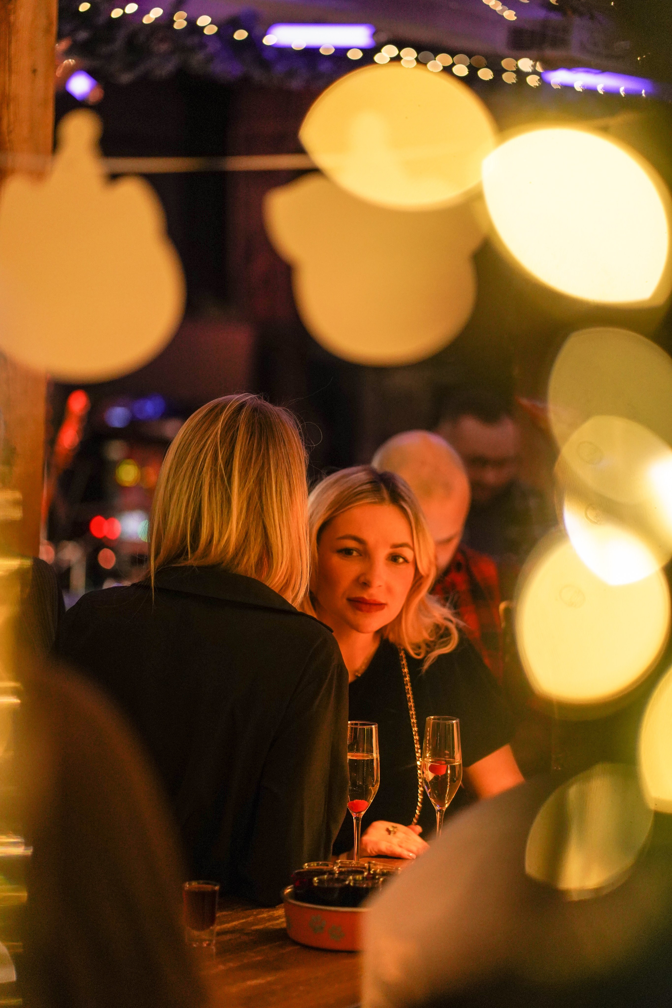 Бар Собаки в тумане. Фотограф