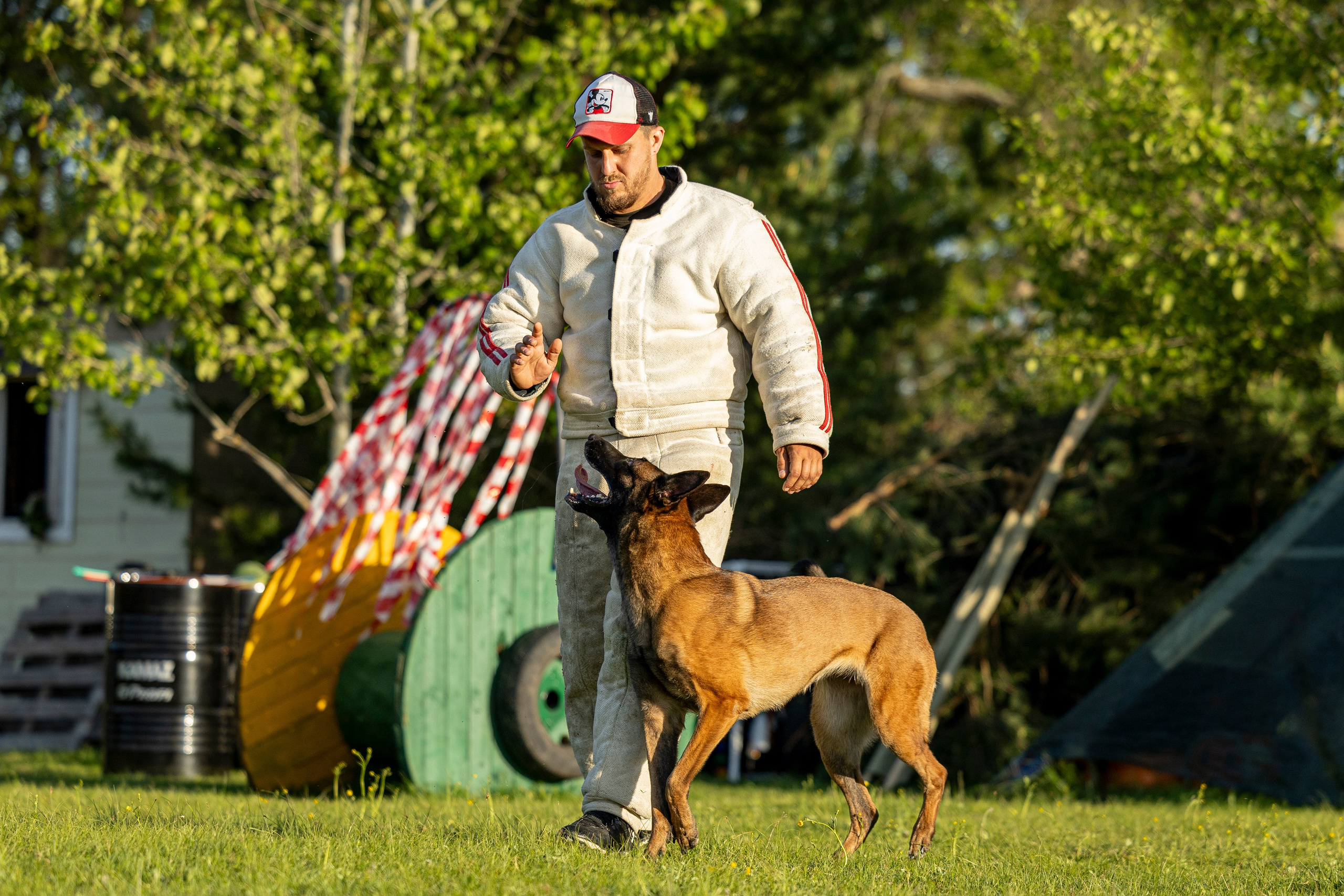Испытания по мондьорингу в Нижнем Новгороде. Фотограф-анималист Анна Маринич