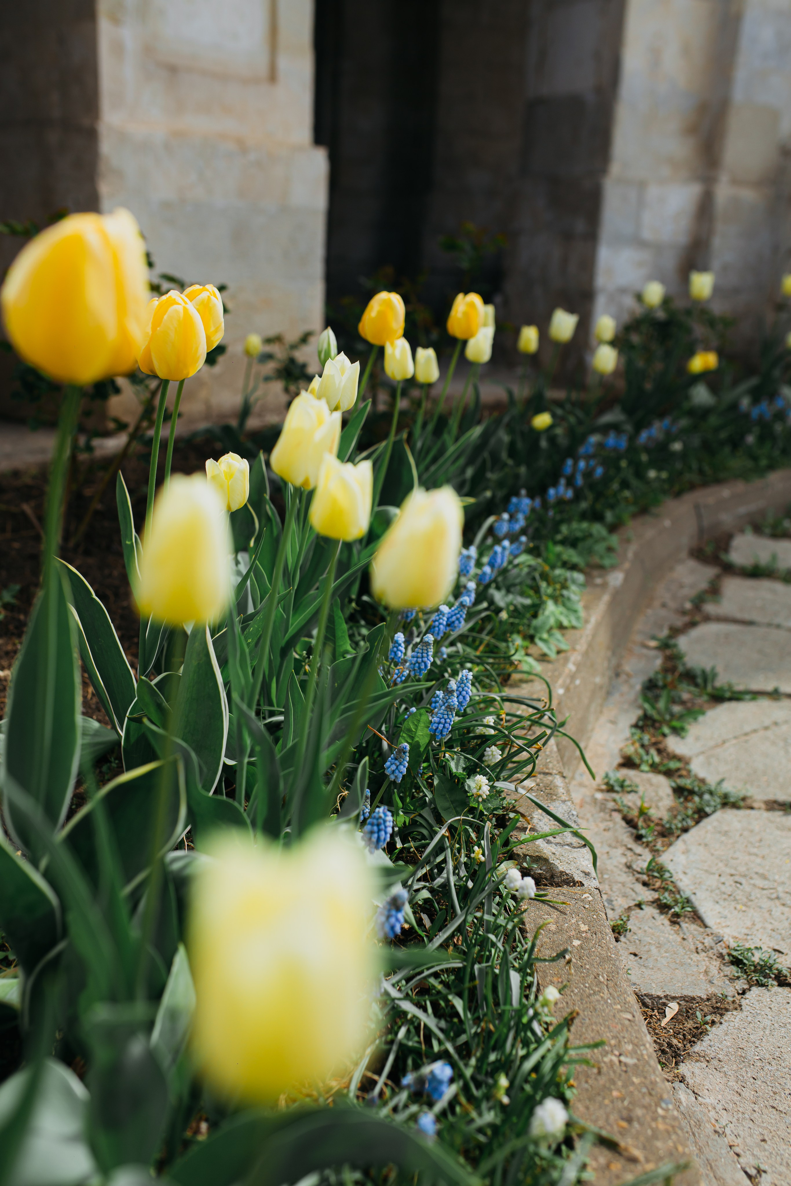 Храм Владимирской иконы Божией Матери в селе Быково. Свадебный и семейный фотограф