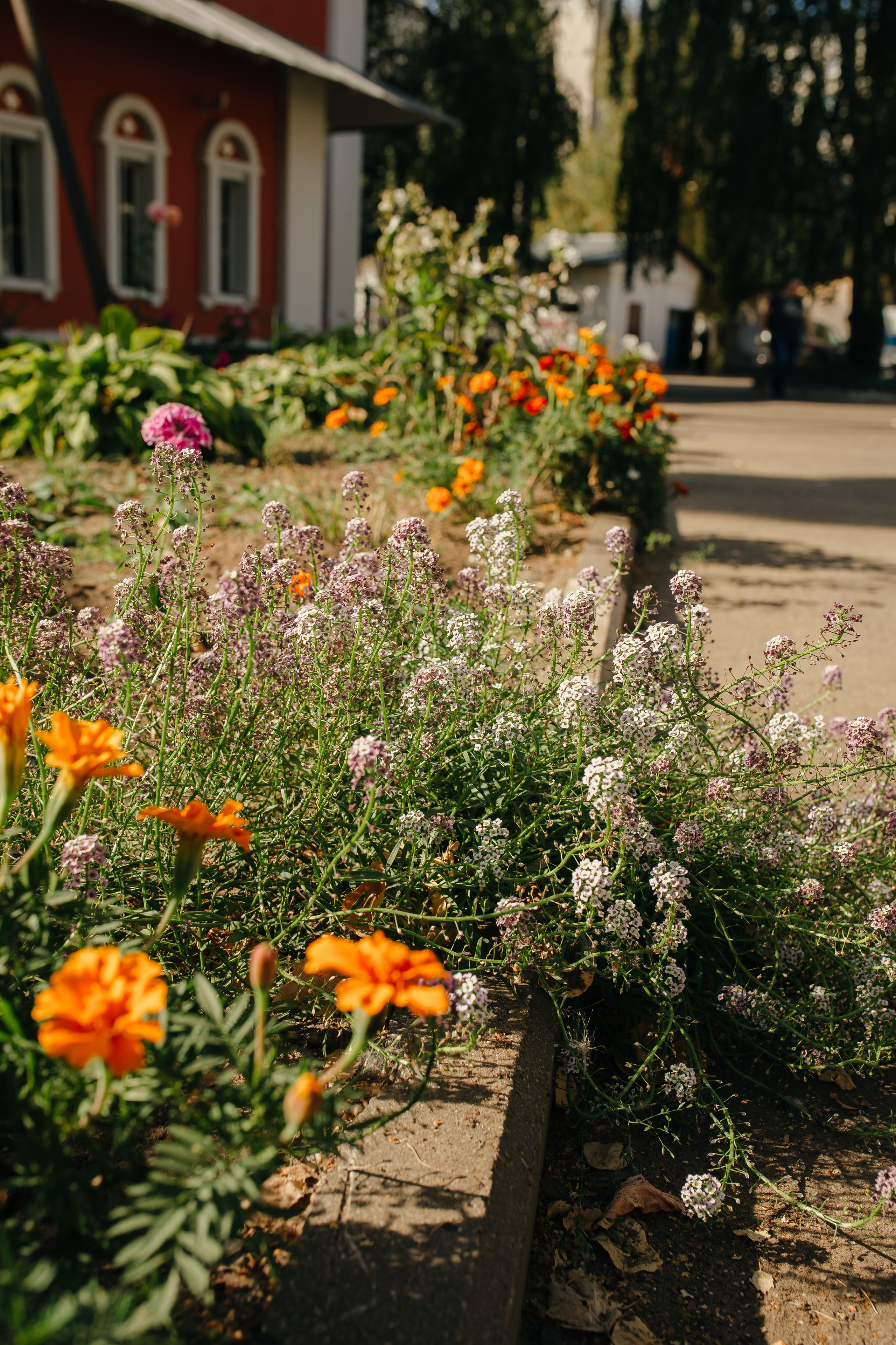 Церковь Иверской иконы Божией Матери г. Жуковский. Свадебный и семейный фотограф