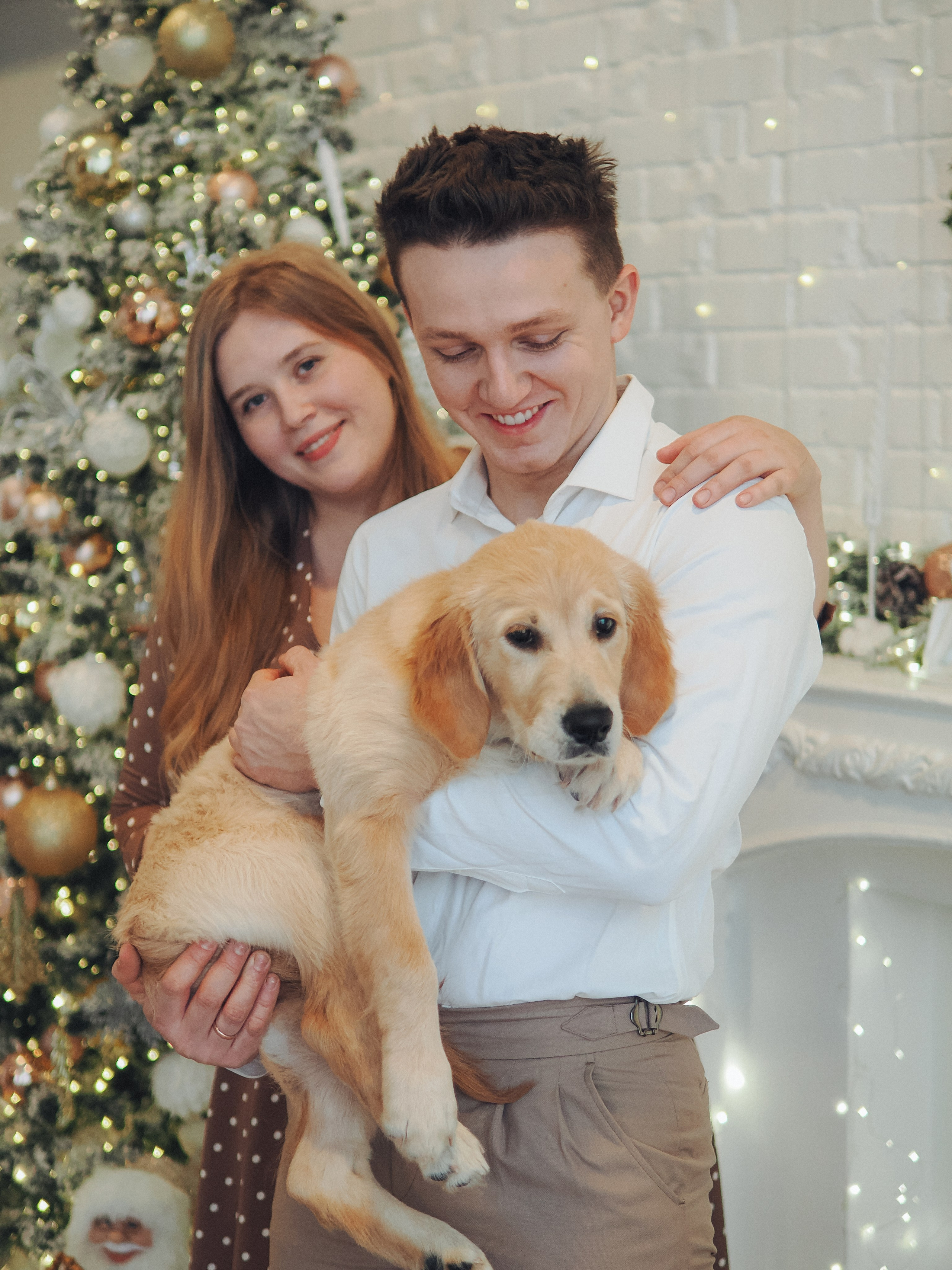 Малышка Молли и новый год. Фотограф в Москве — Сергей Люкшинов