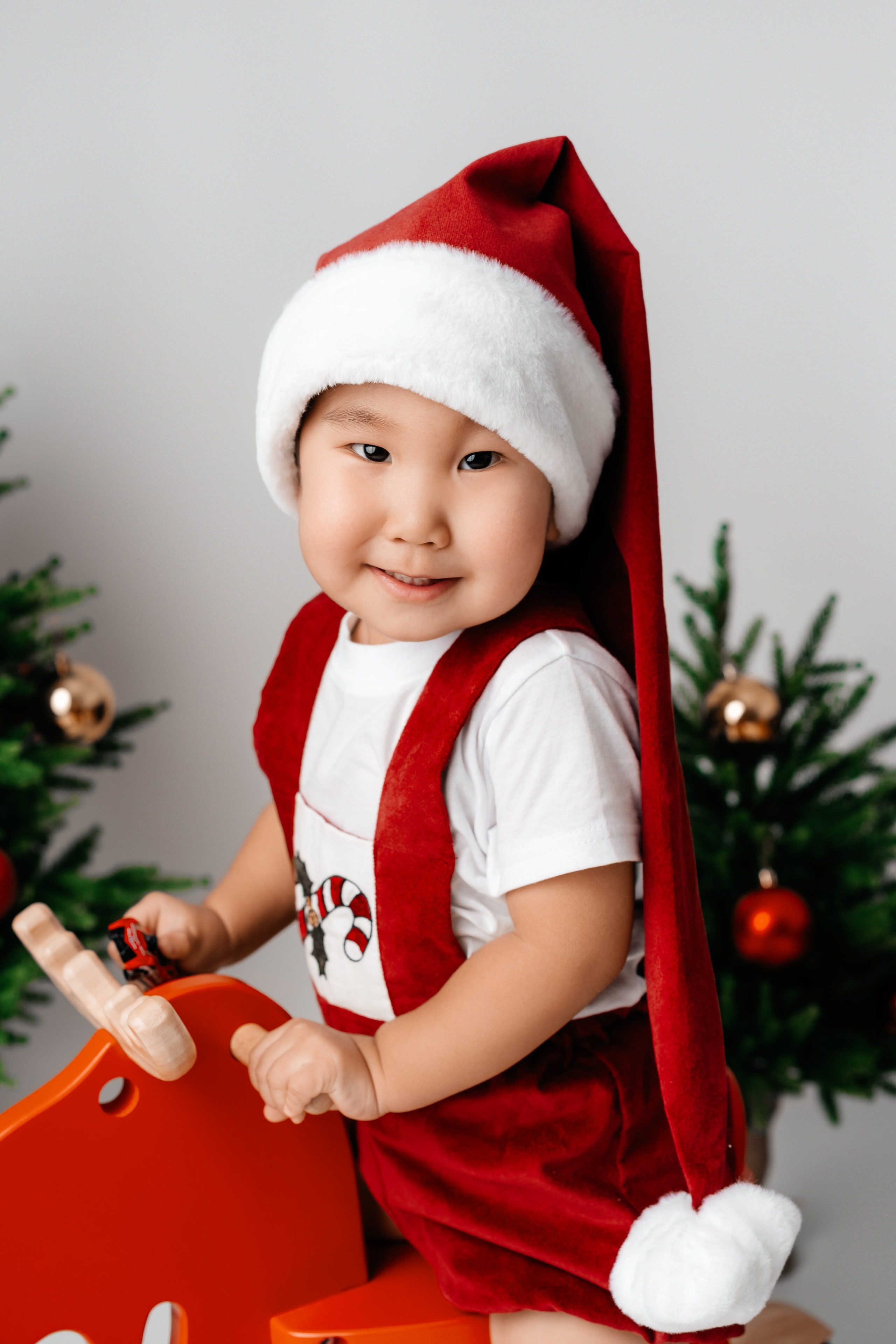 Новый год. Фотограф Александра Василькова