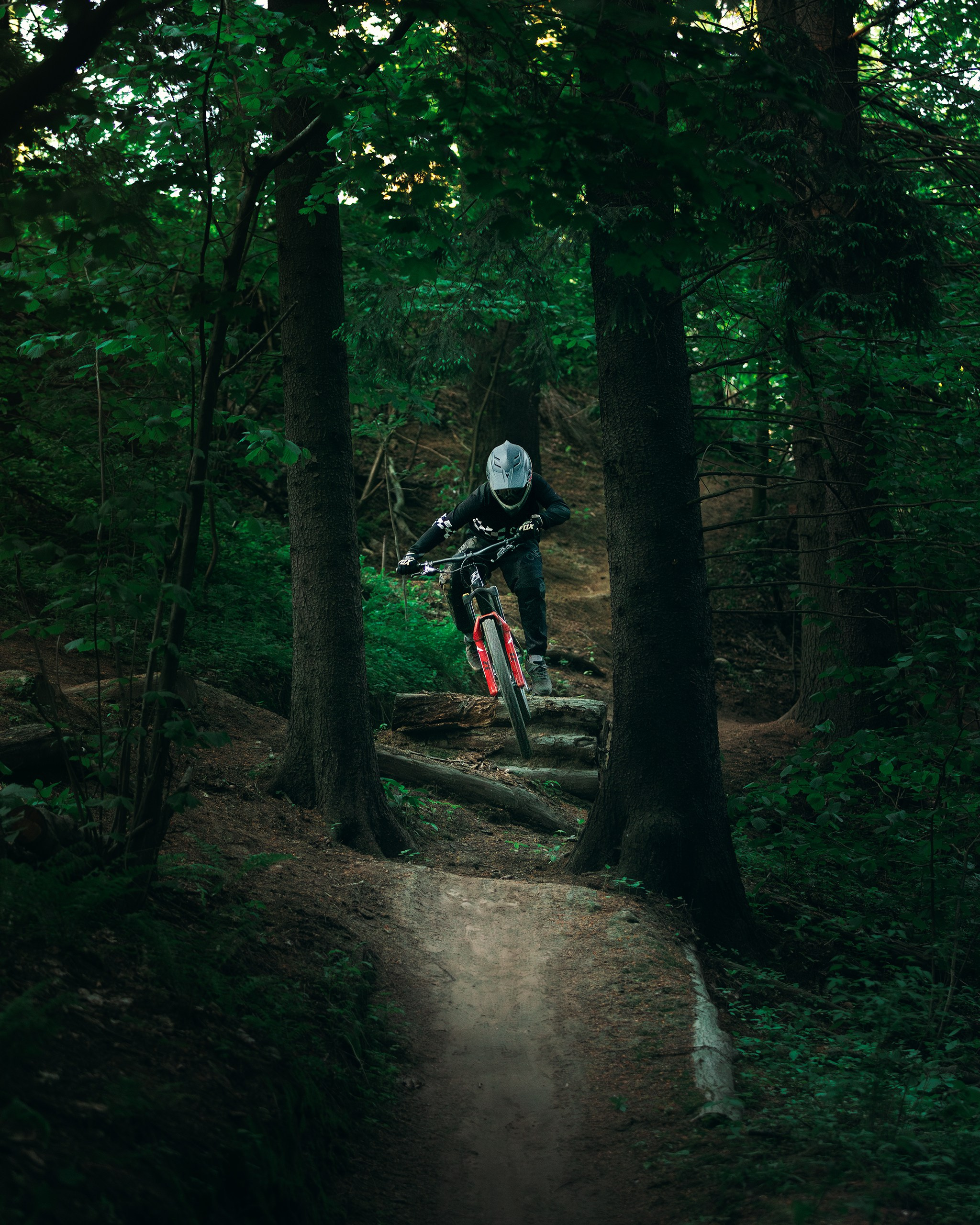 Саша и Ваня. Фотограф анималист Никита Натальный