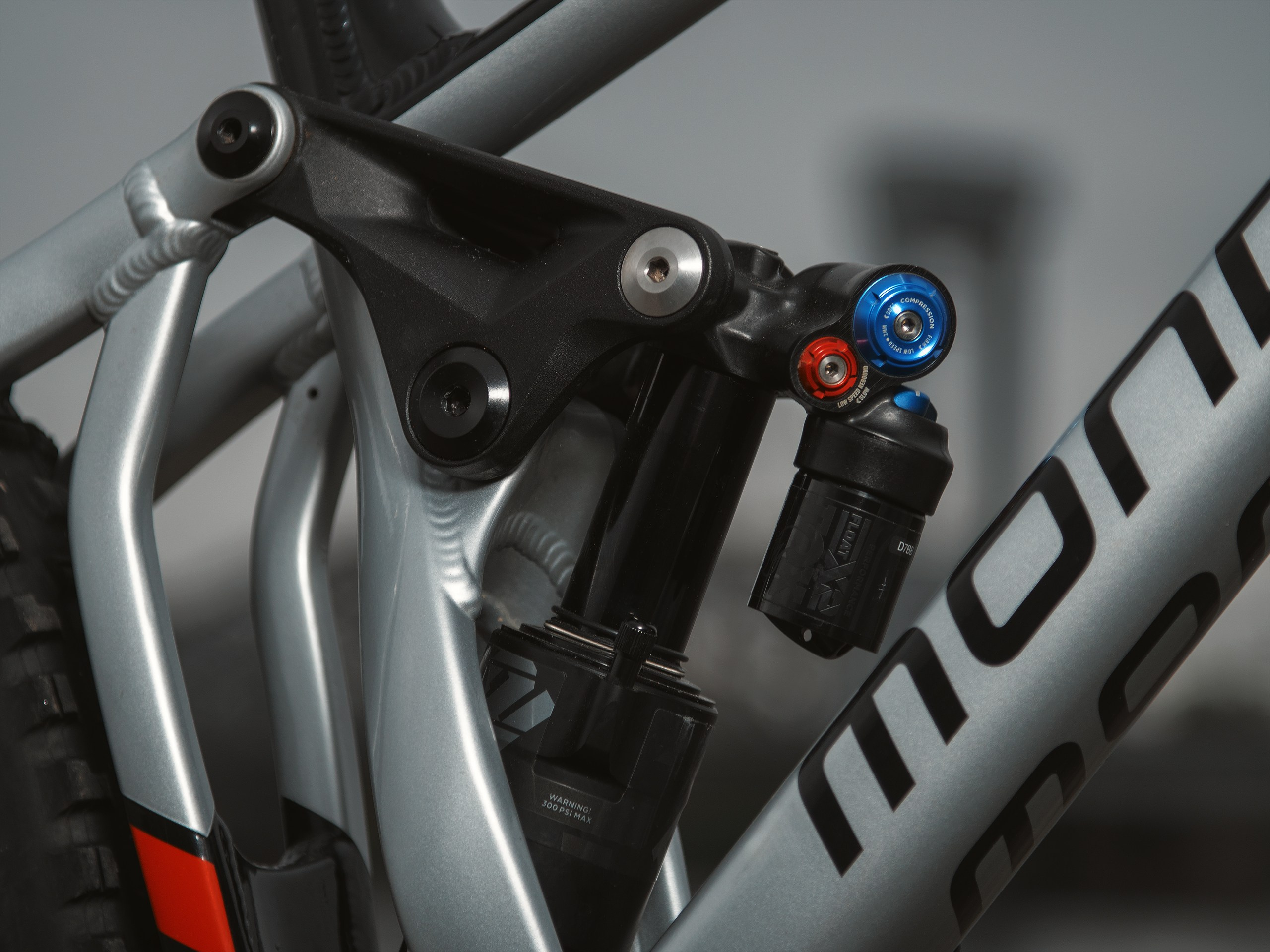 Mondraker. Фотограф анималист Никита Натальный