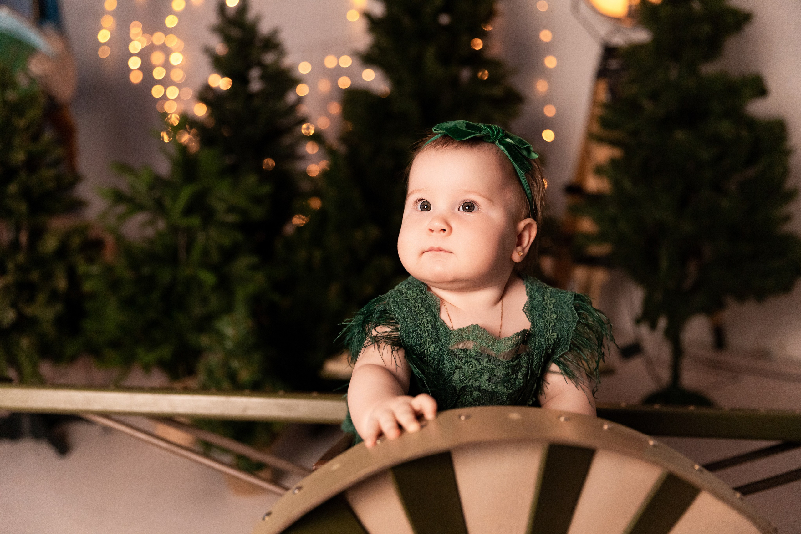 Арина, Кирилл, Аристарх и Афина. Семейный фотограф в Екатеринбурге и Красноуфимске Евгения Лягаева