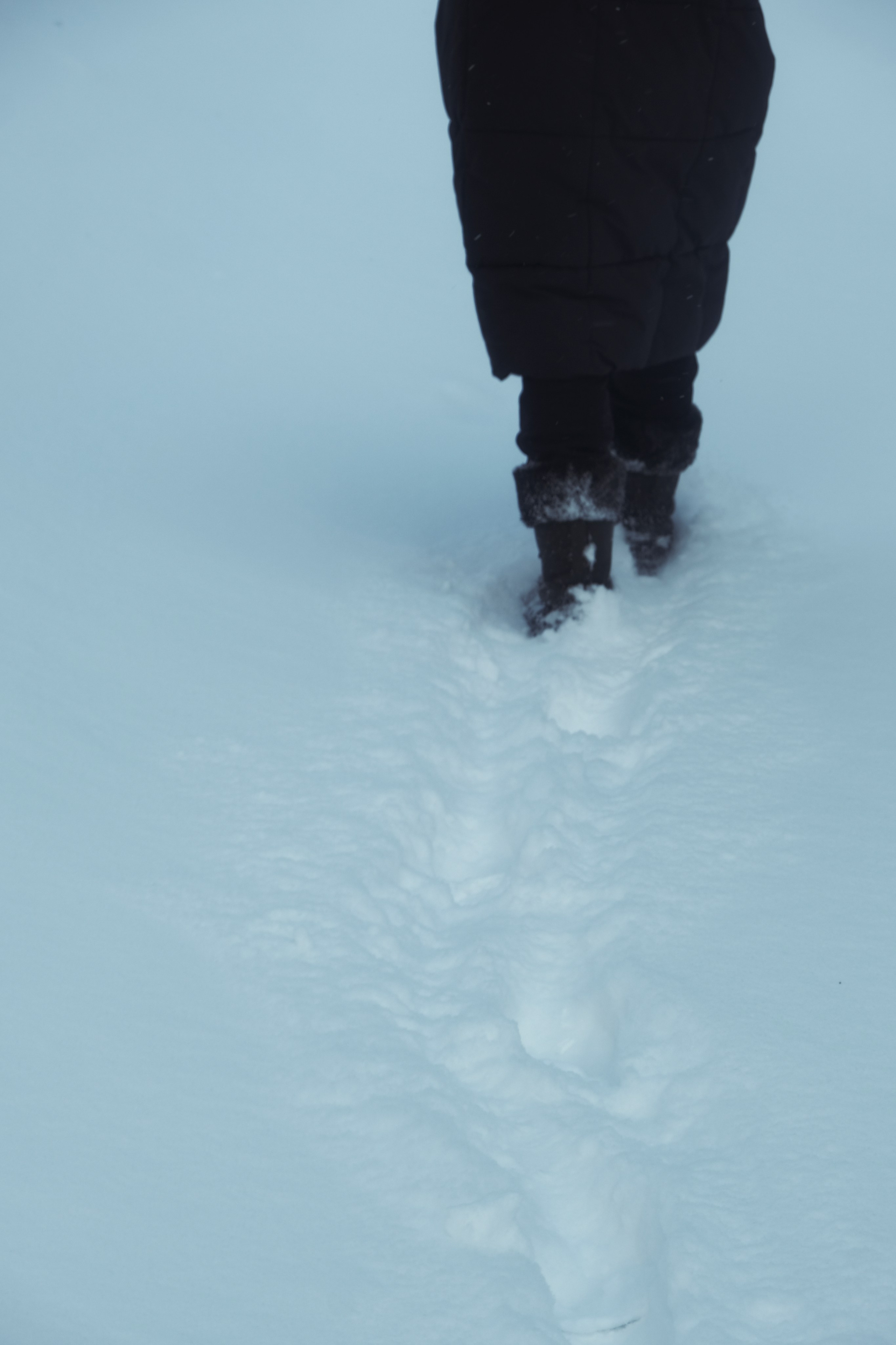 Под Москвой. Фотограф Настя Лев