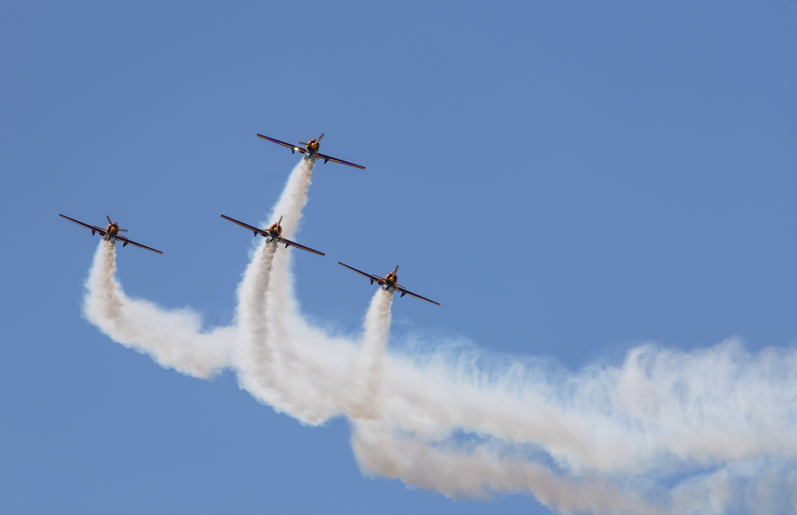 Крылья Пармы 2025 г. KATERINA VINOKUROVA ФОТОГРАФ ПЕРМЬ