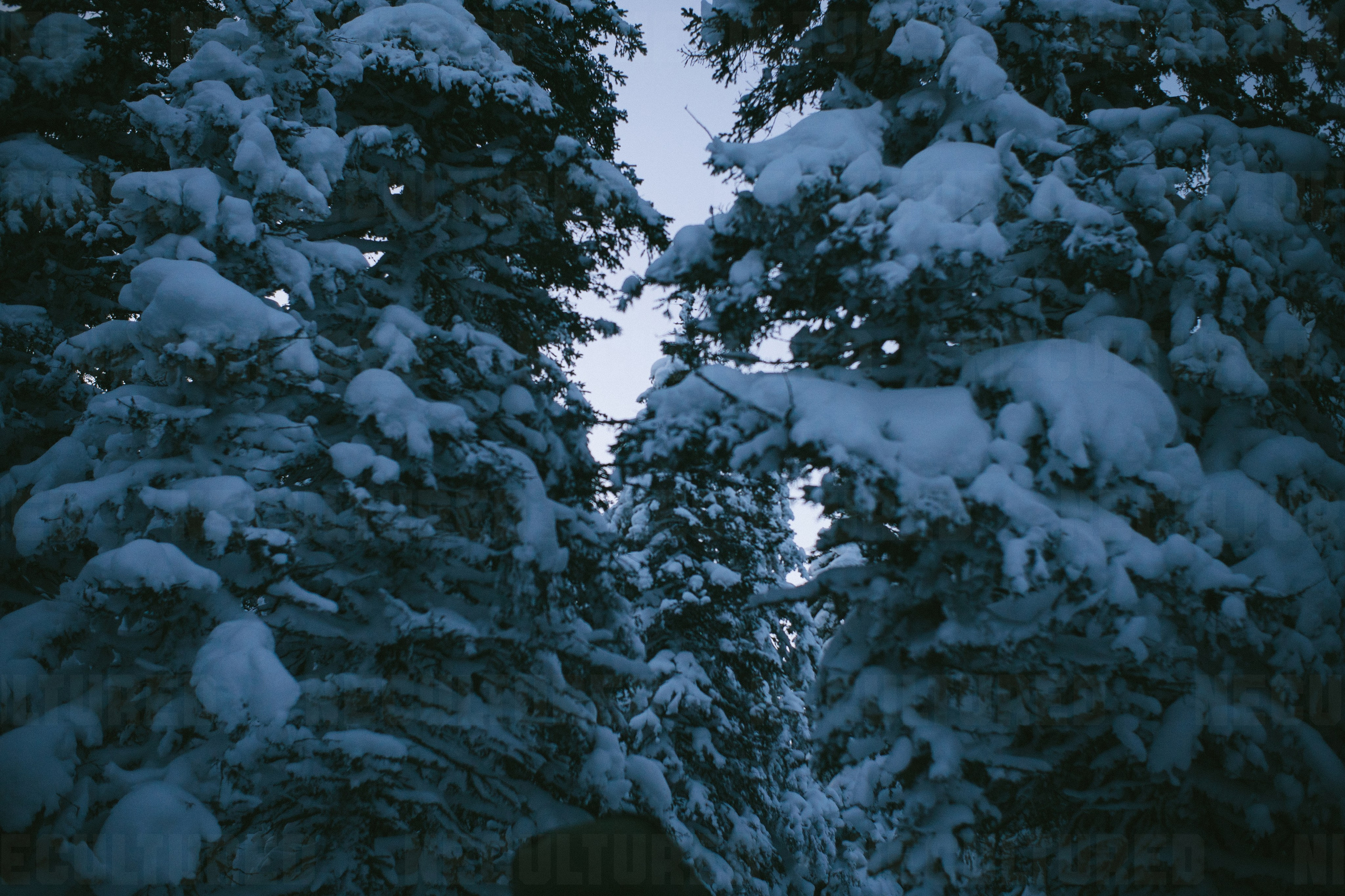 Фотосессии в путешествии. Пленочный фотограф в Москве | Necultured