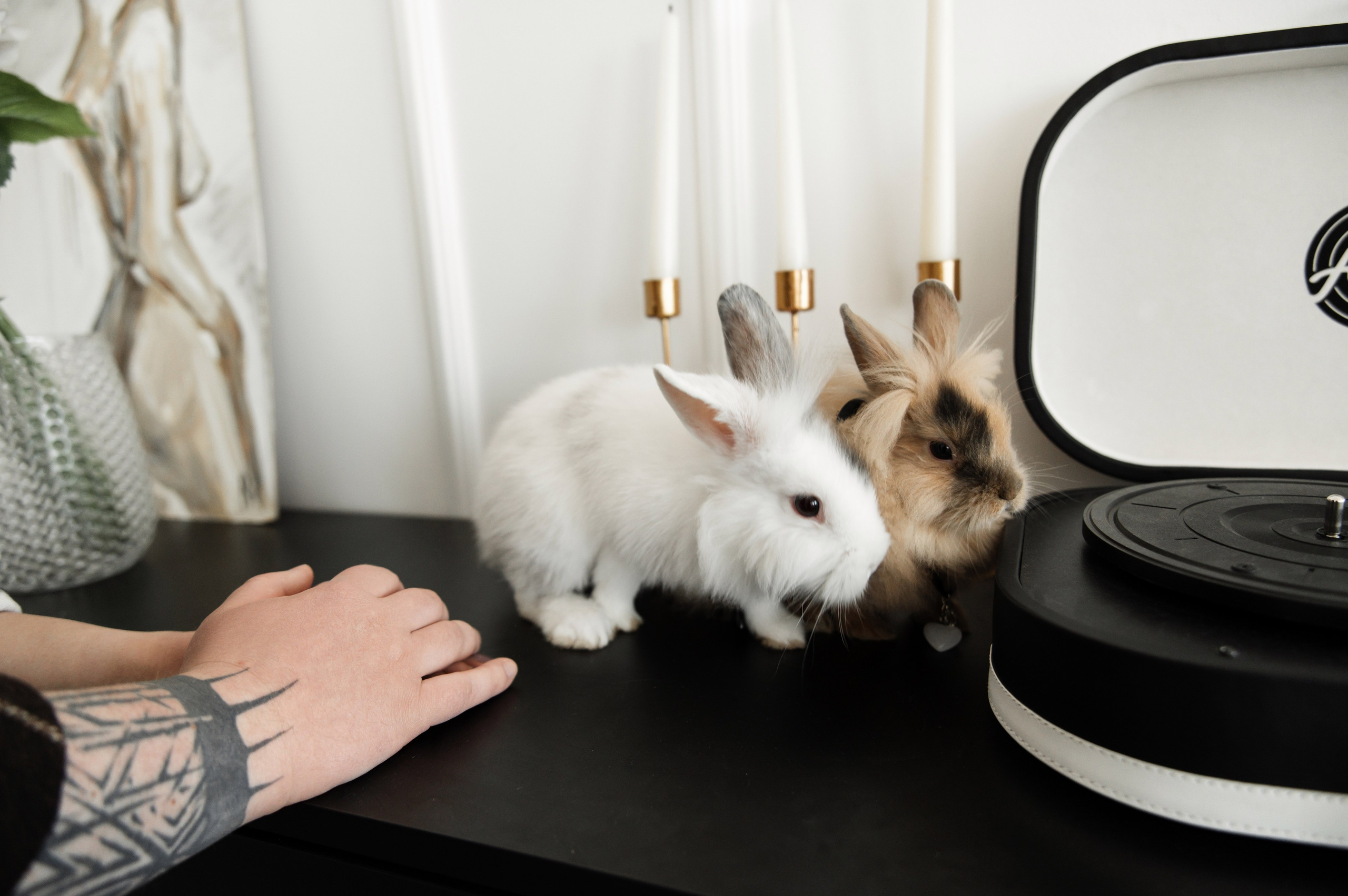 I&V. Фотограф Кирилл Верт