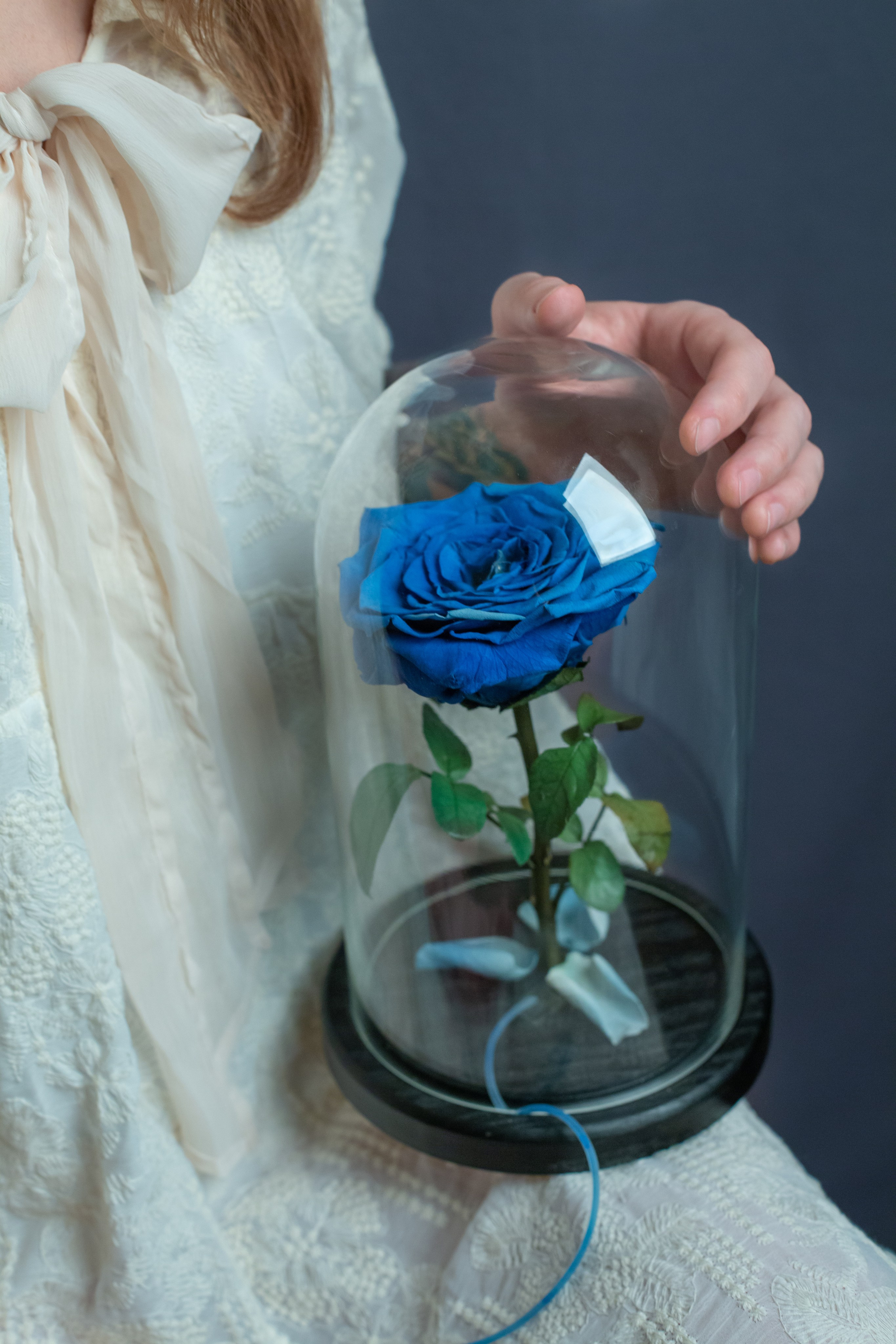 Роза. Фотограф в Москве Лера Юдина