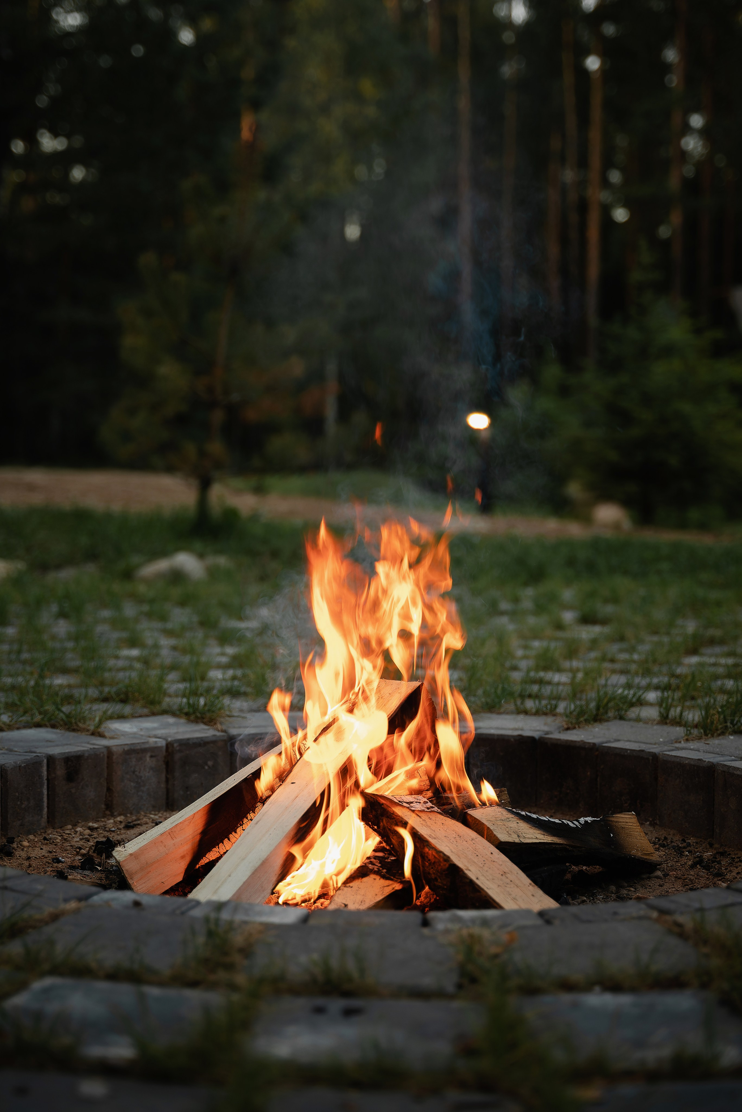 DZEN FOREST. Репортажный и свадебный фотограф в Минске Шамко Анатолий