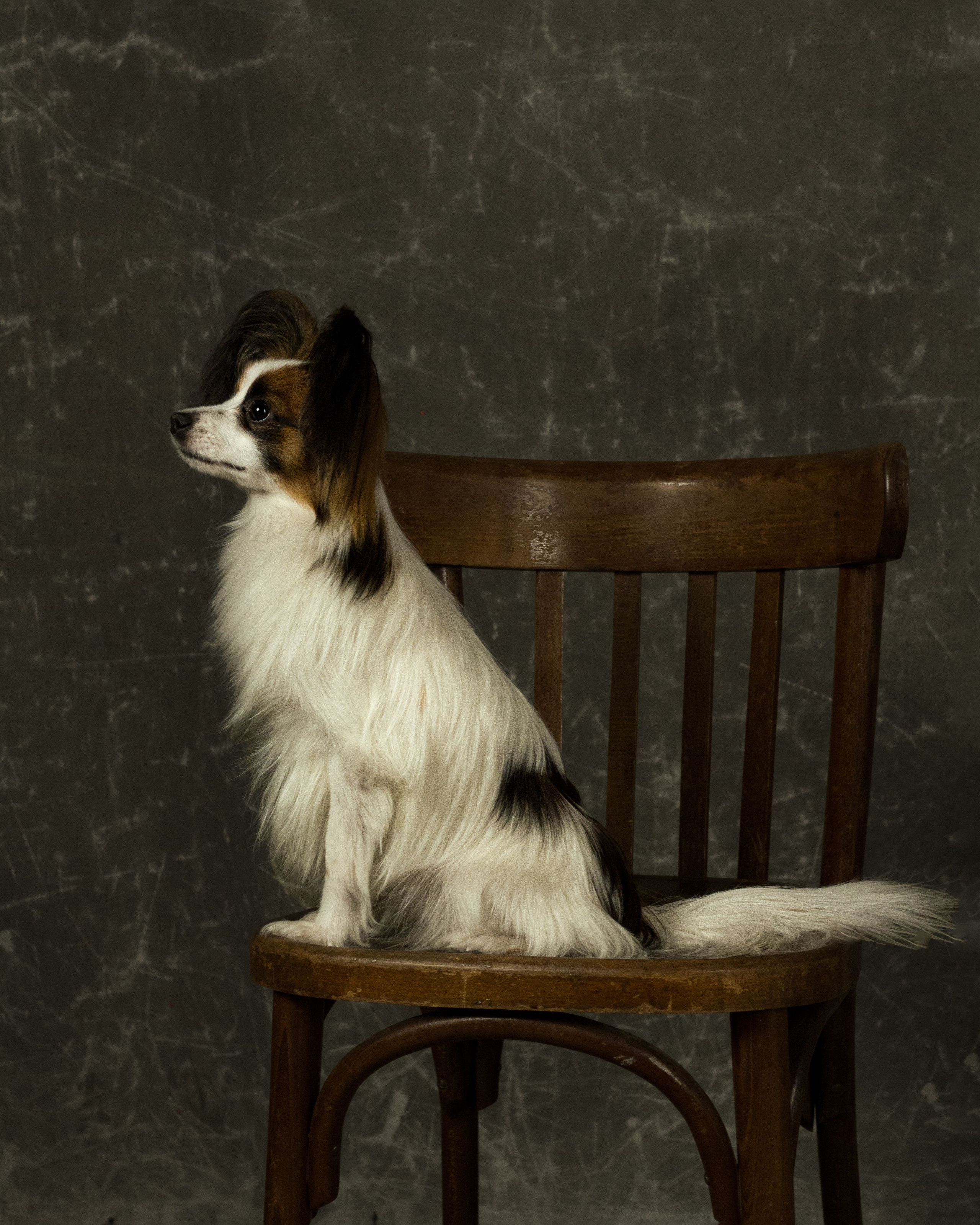 Любовь. Портретный фотограф в Санкт-Петербурге Анна Краснова