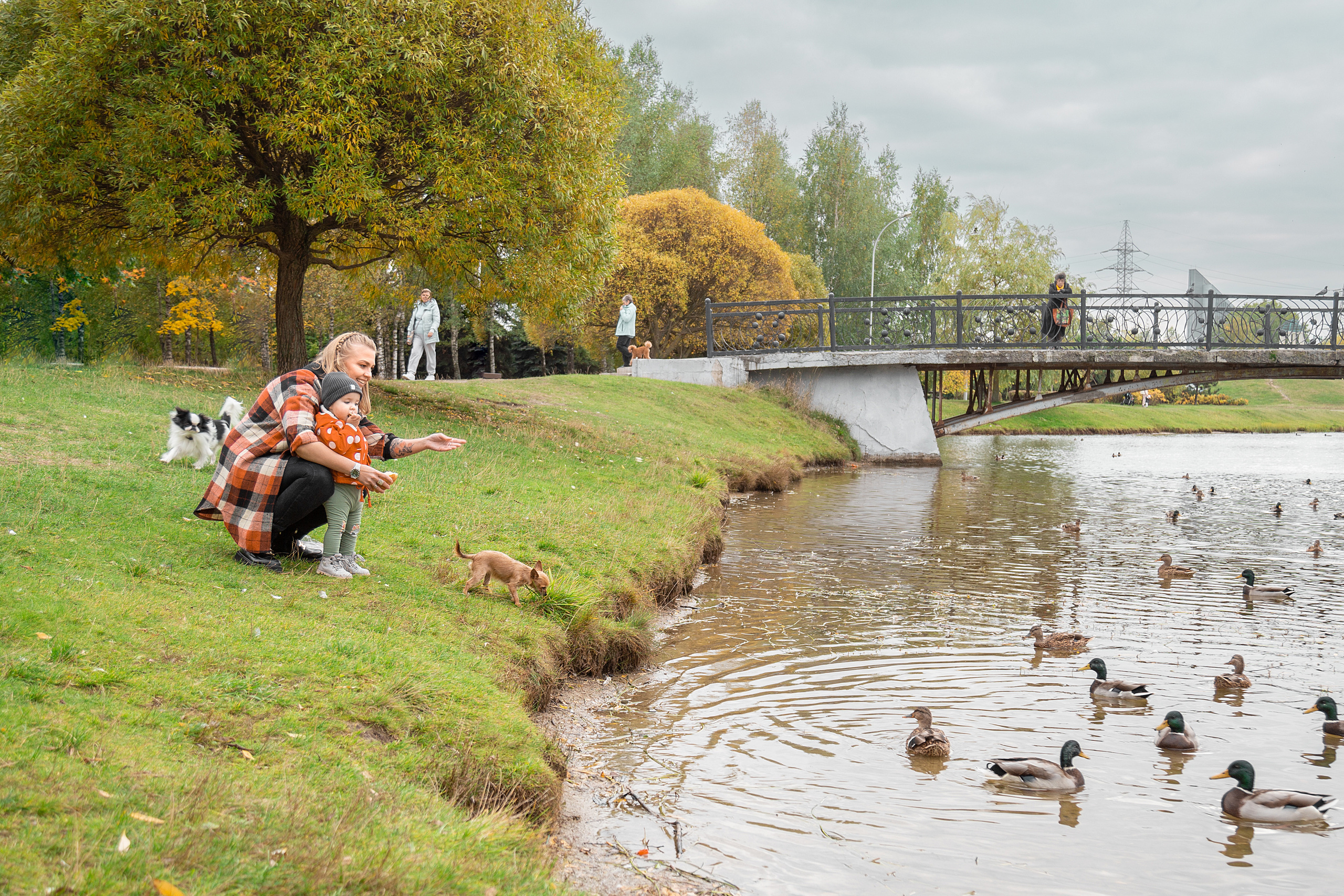 Фотопрогулки. Осень. Фотограф в Минске Екатерина Тузова