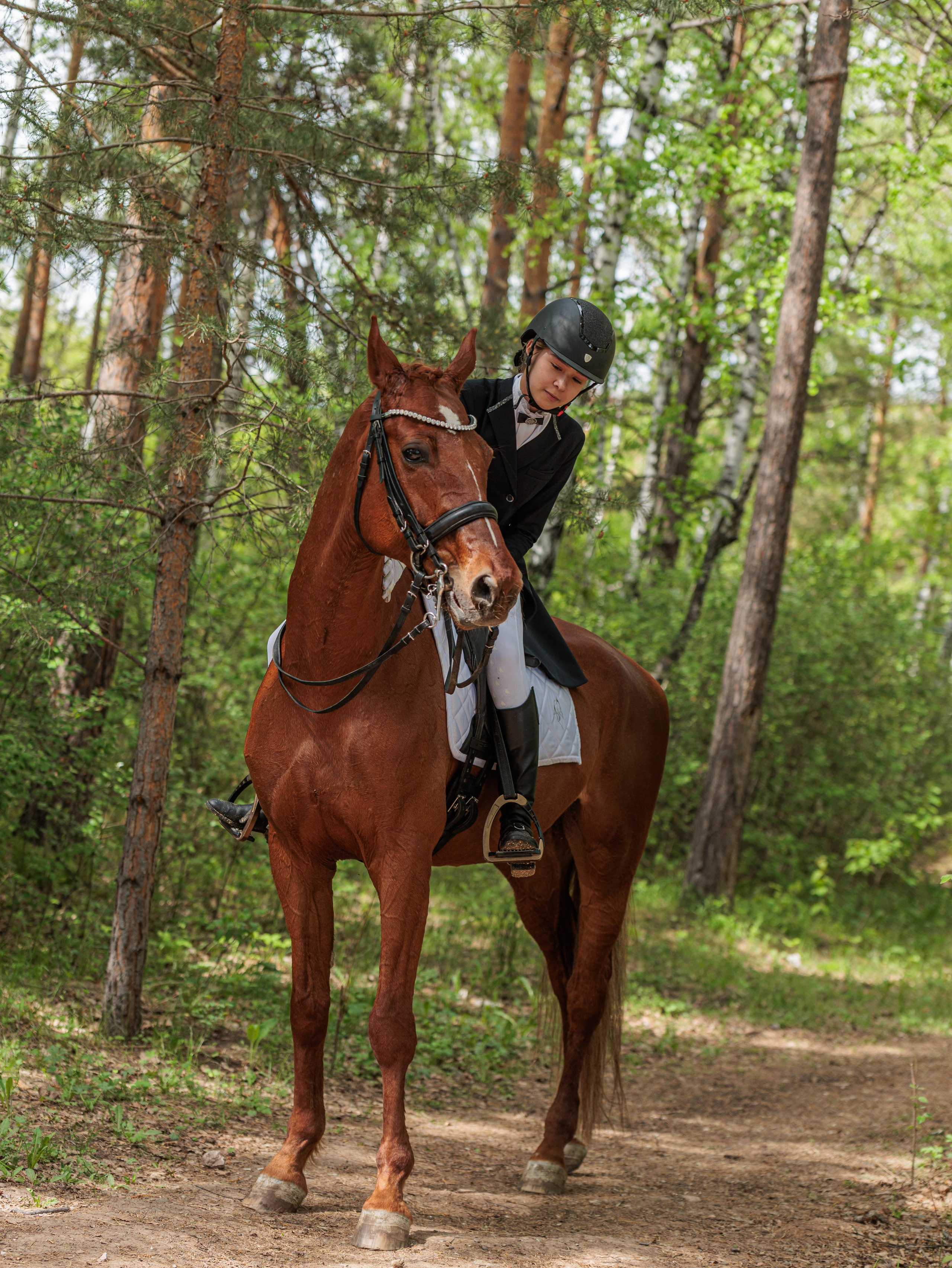 2025. Конный фотограф в Красноярске — Любовь Похабова