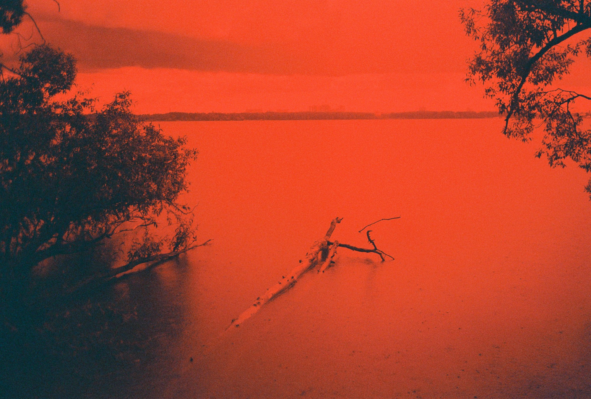 Как проходит фотосессия на пленочную камеру?. Плёночный фотограф, заказать фото на плёнку в Москве — Георгий Романов