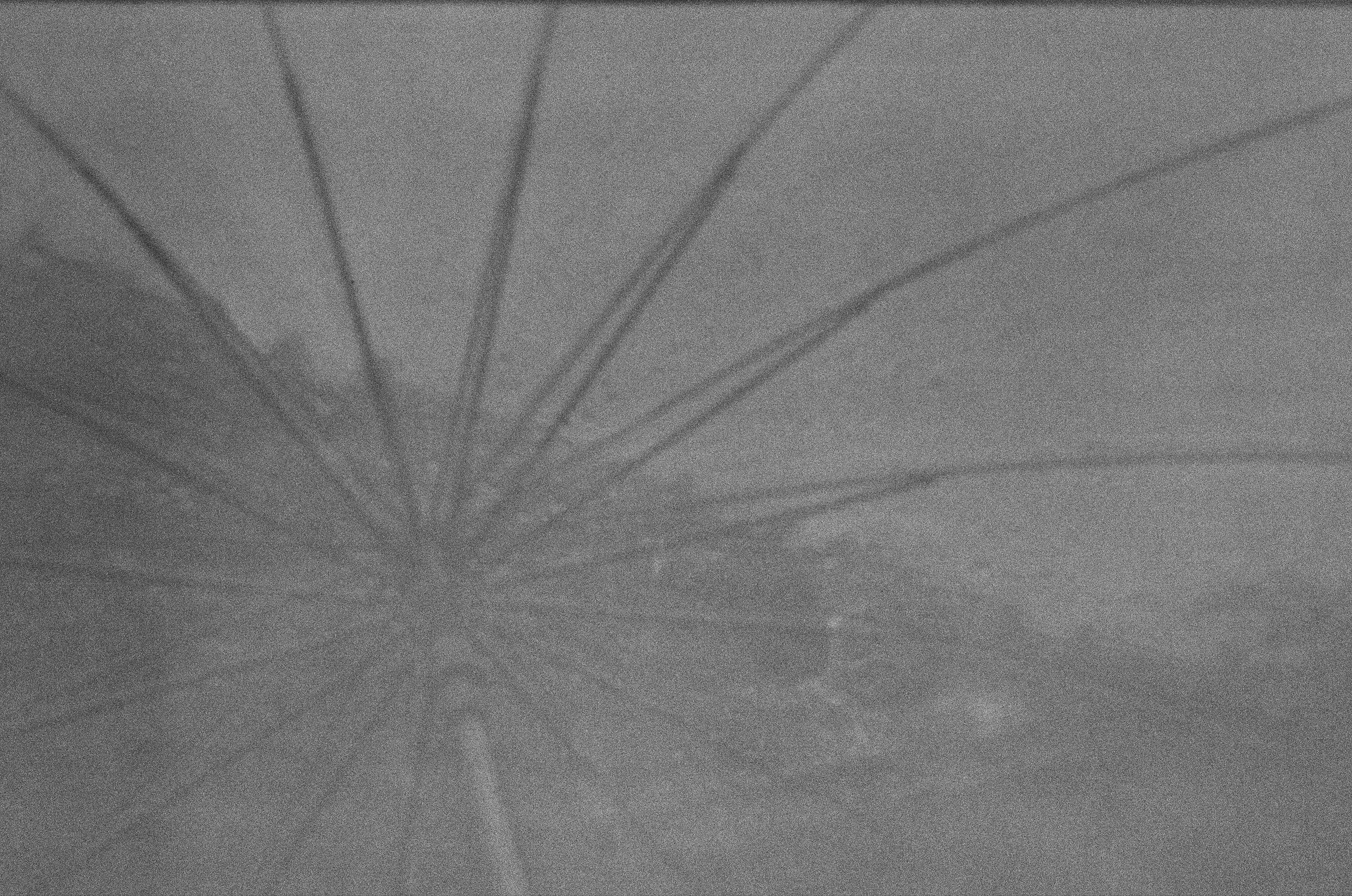 Пленочные фотографии исчезли во время съемки ТВ передачи