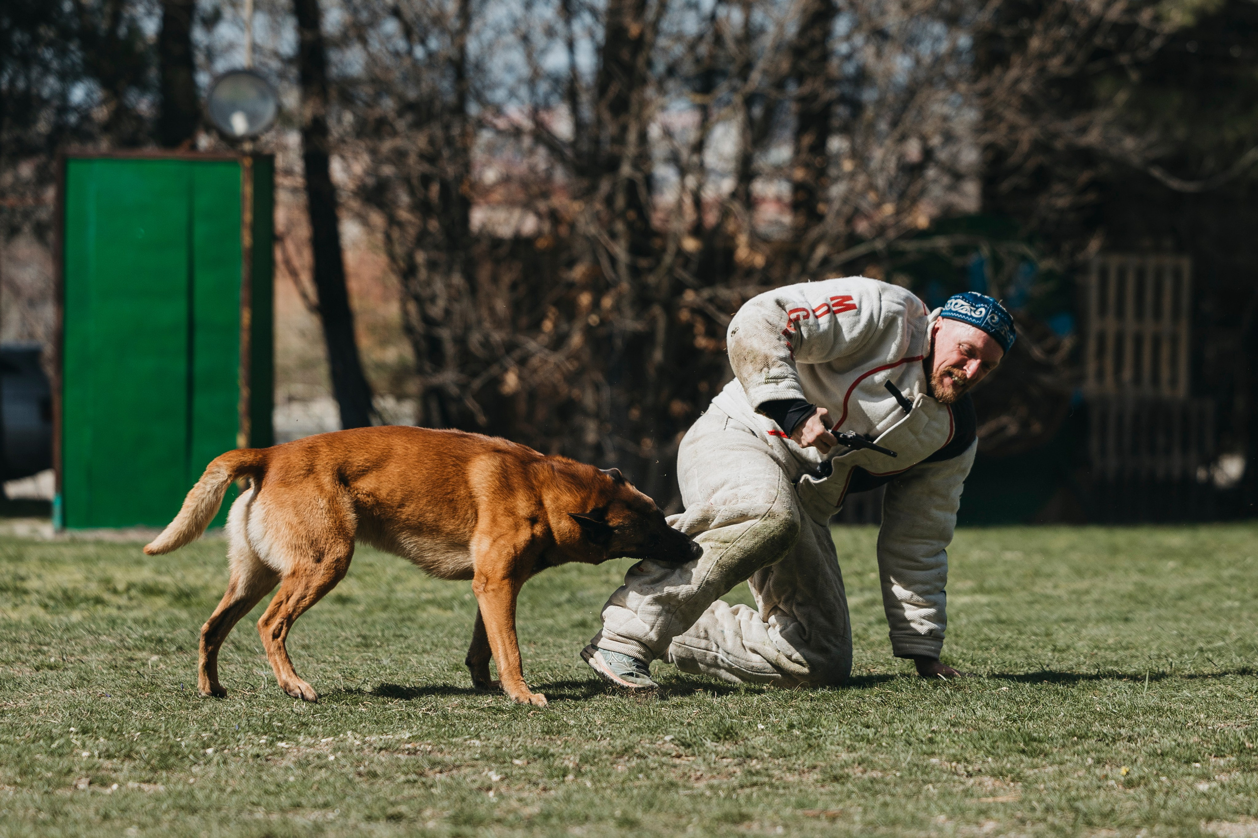 Геленджик Мондьоринг. Фотограф-анималист Анна Маринич