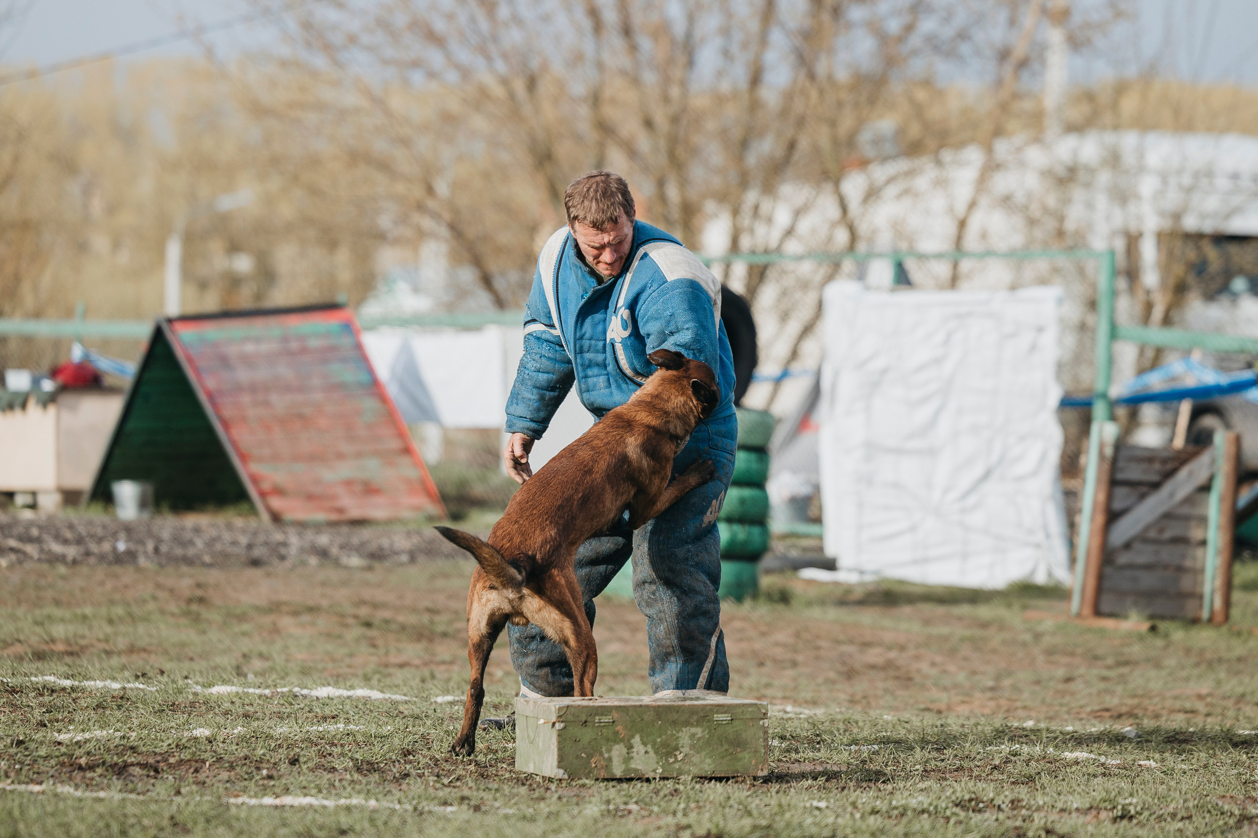 09.05.25 Вологда соревнования. Фотограф-анималист Анна Маринич