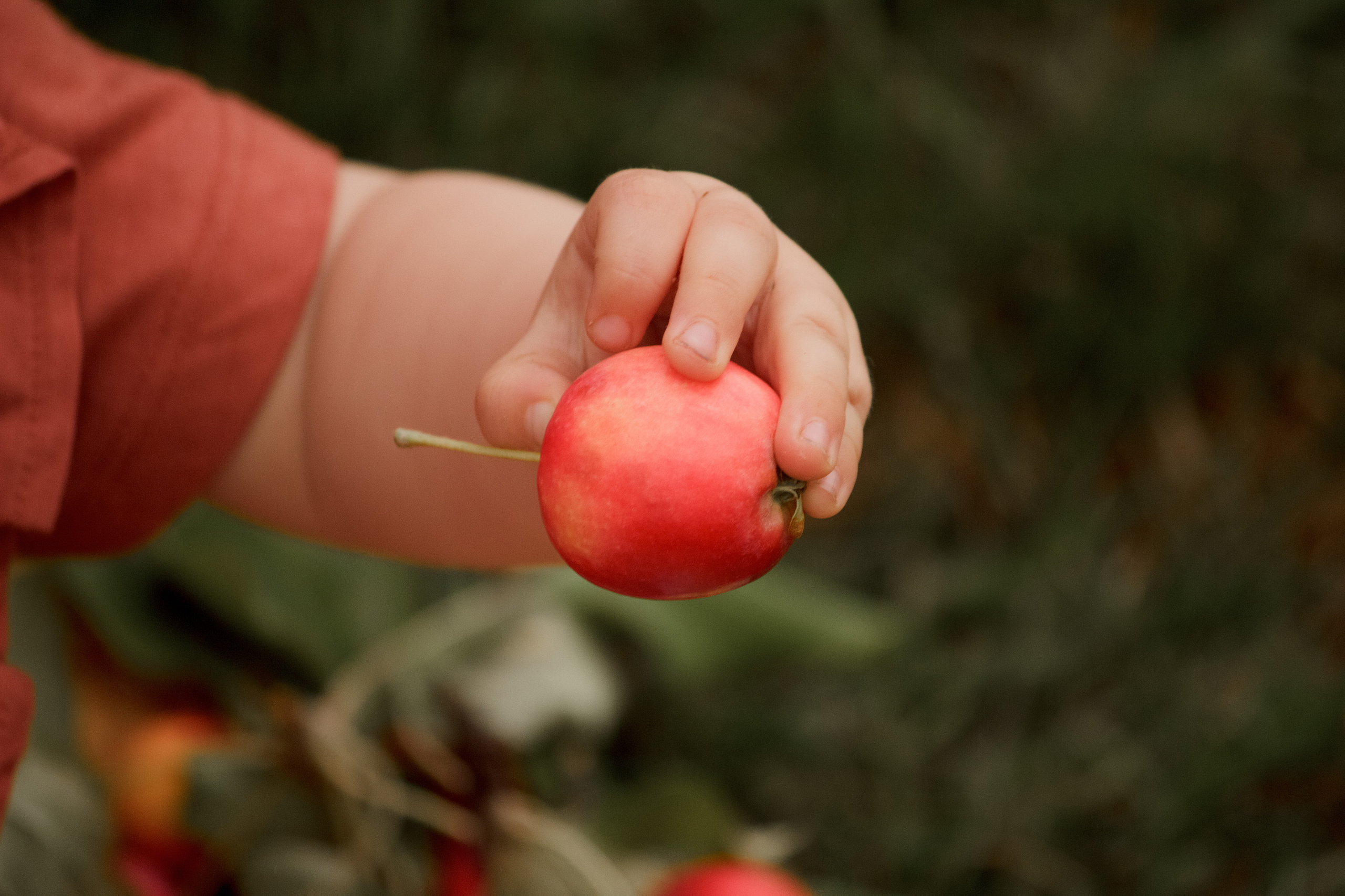 Дети. Фотограф Юлия Мешаева