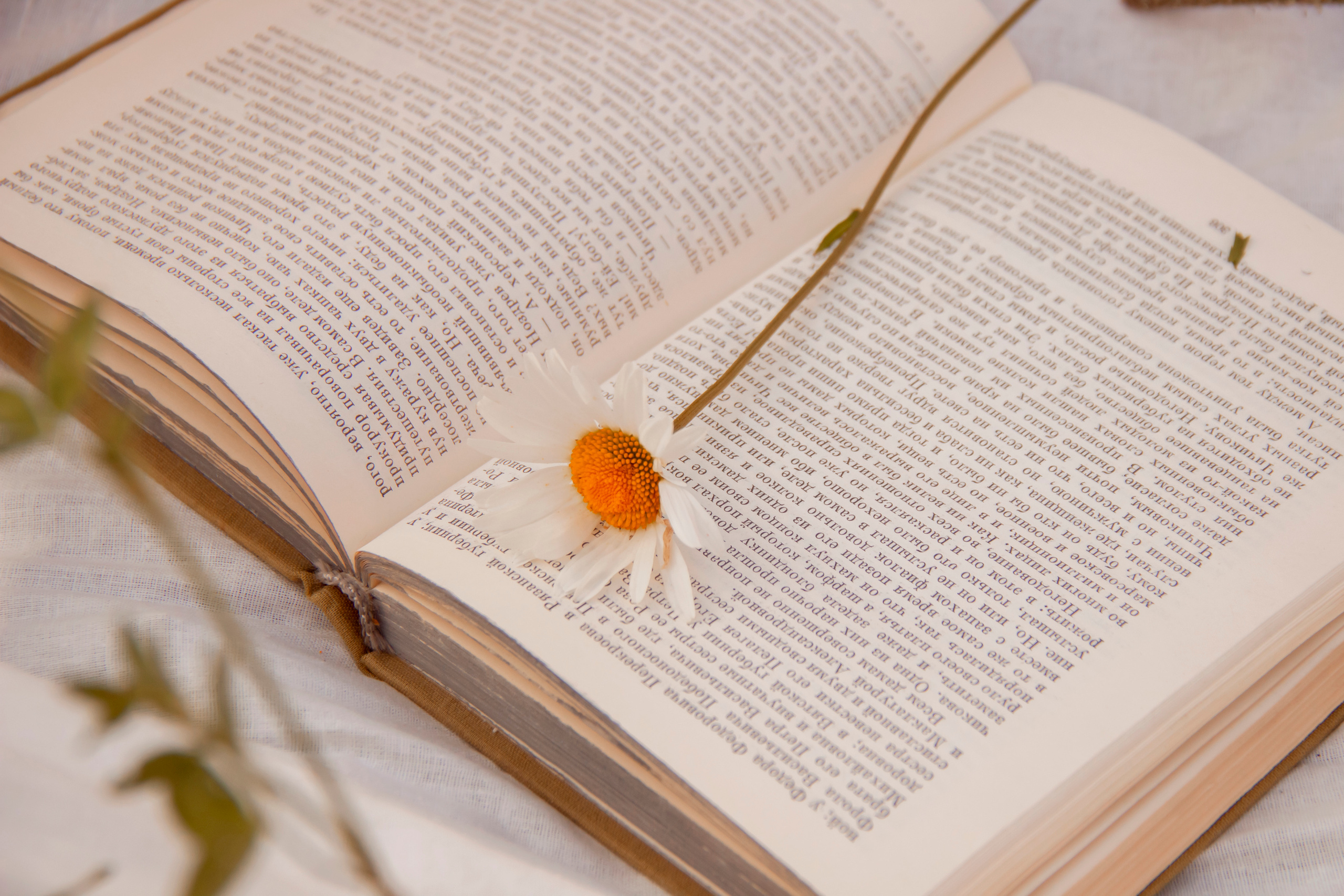 Алёна. Фотограф Юлия Мешаева