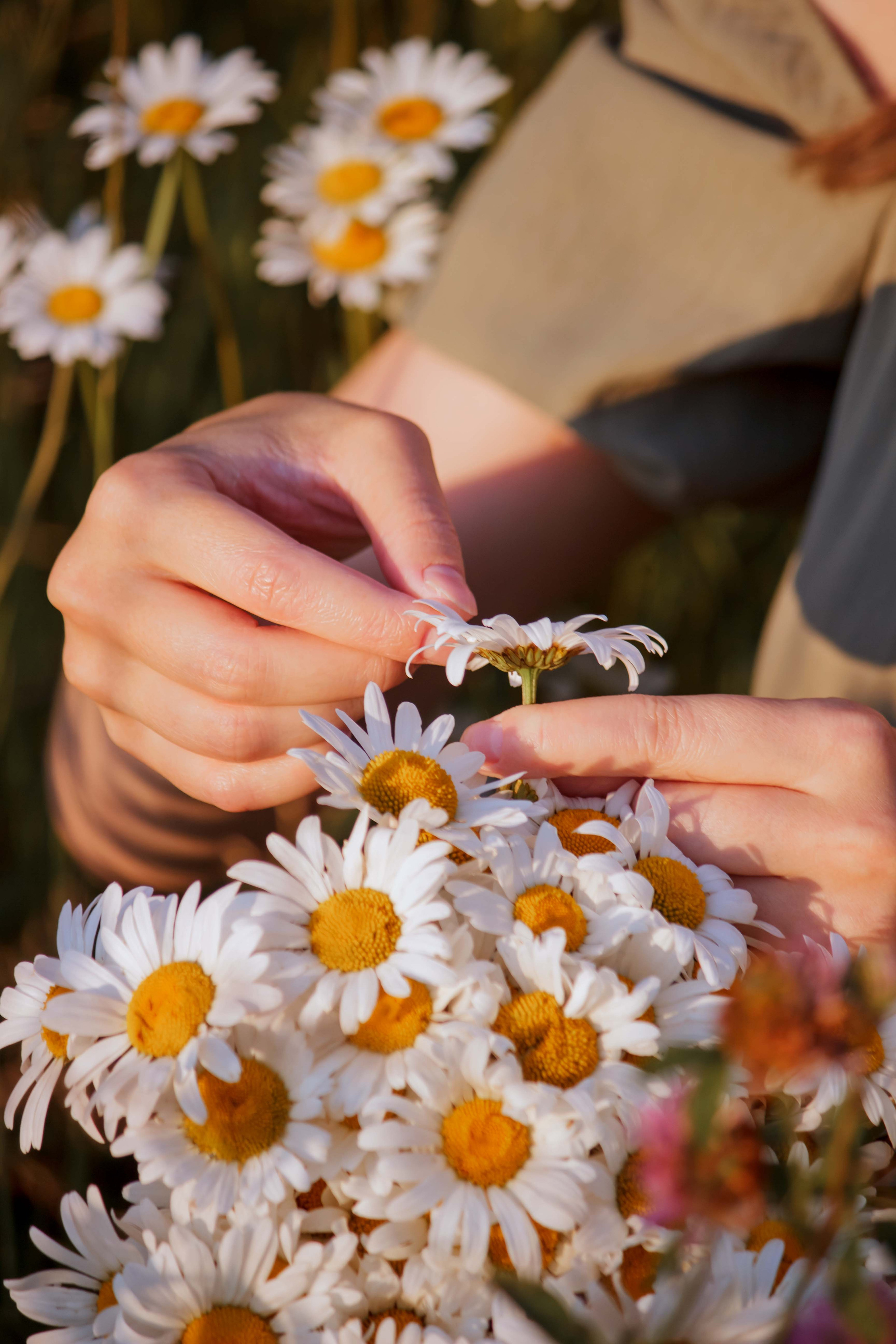 Фотограф Юлия Мешаева