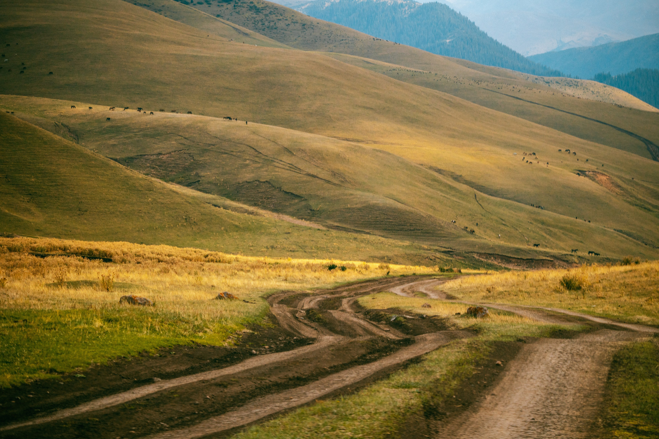 Поездка на плато Ассы и за пределами. Экскурсии и туры по Алматы