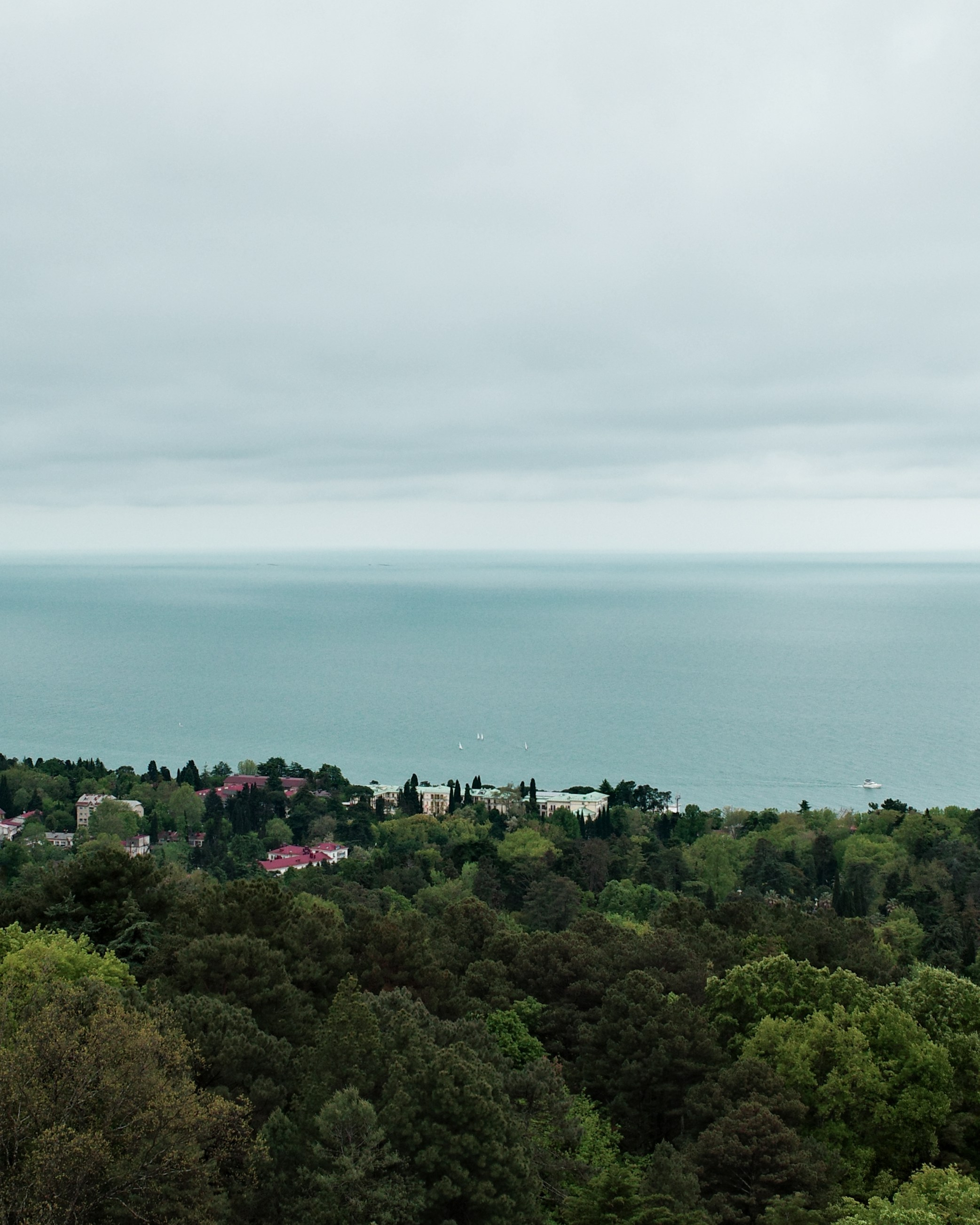 BY THE SEA. Anne Demia