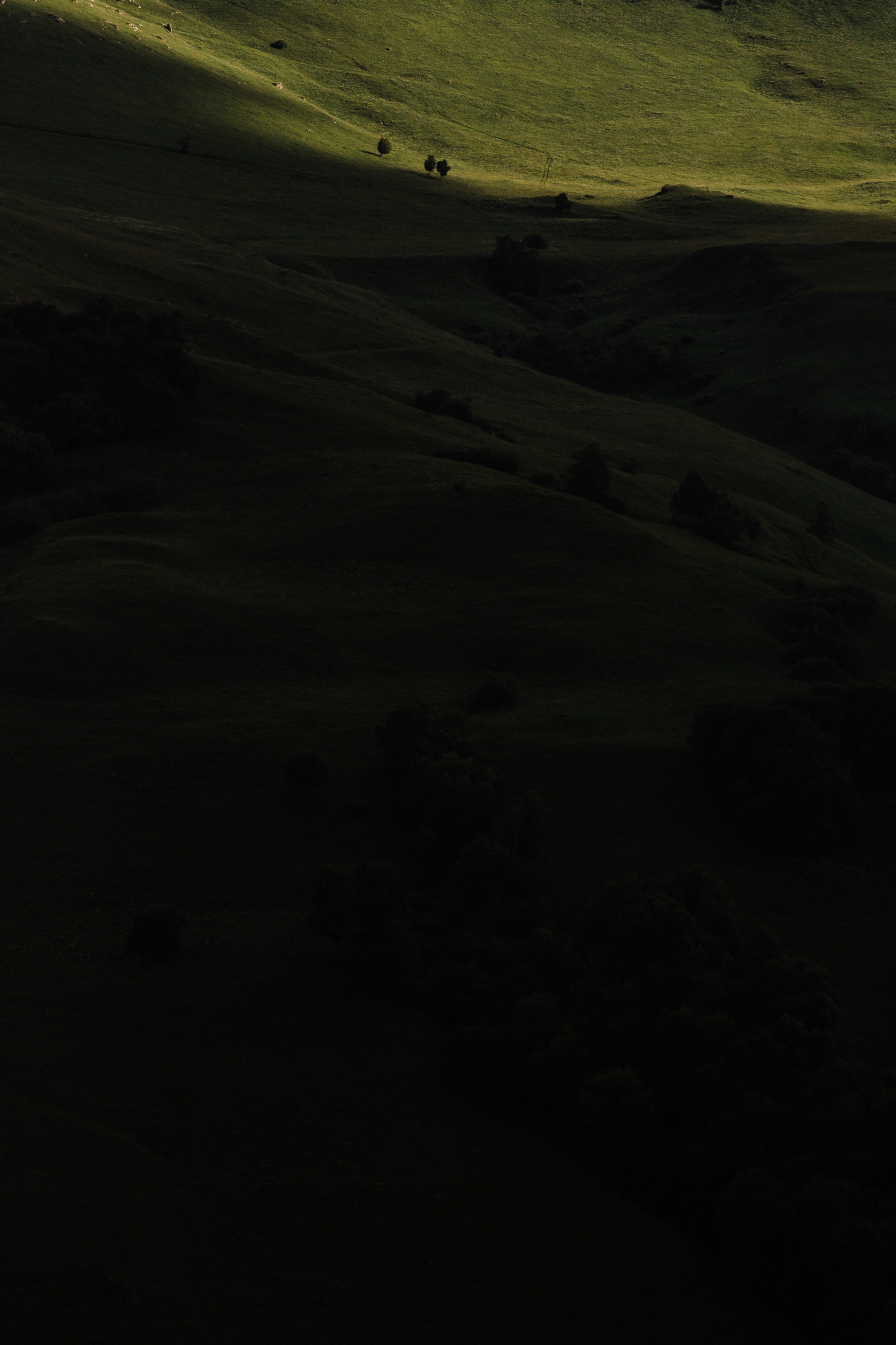 Elbrus. Свадебный и семейный фотограф в Краснодаре Роман Моско