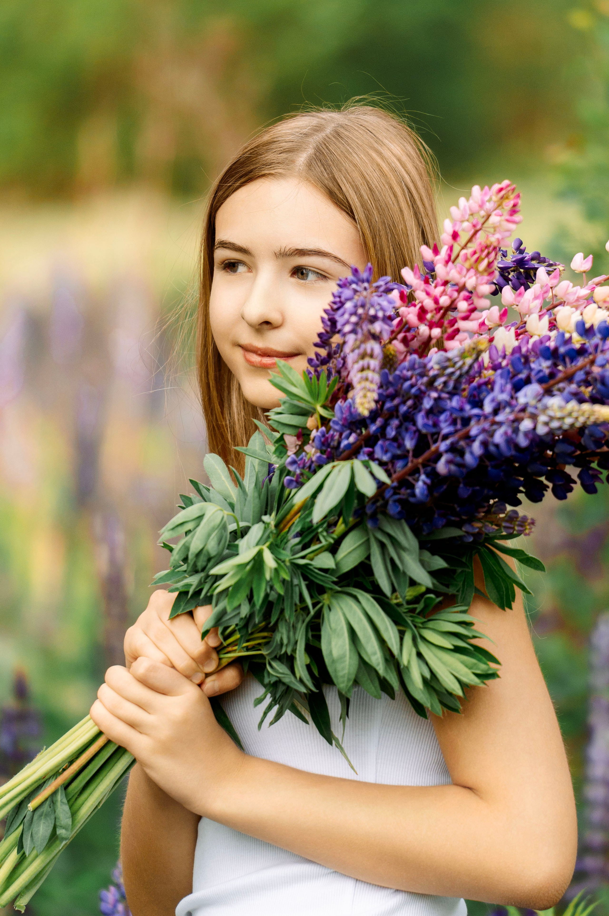 Люпины. Фотограф Юлия Попова
