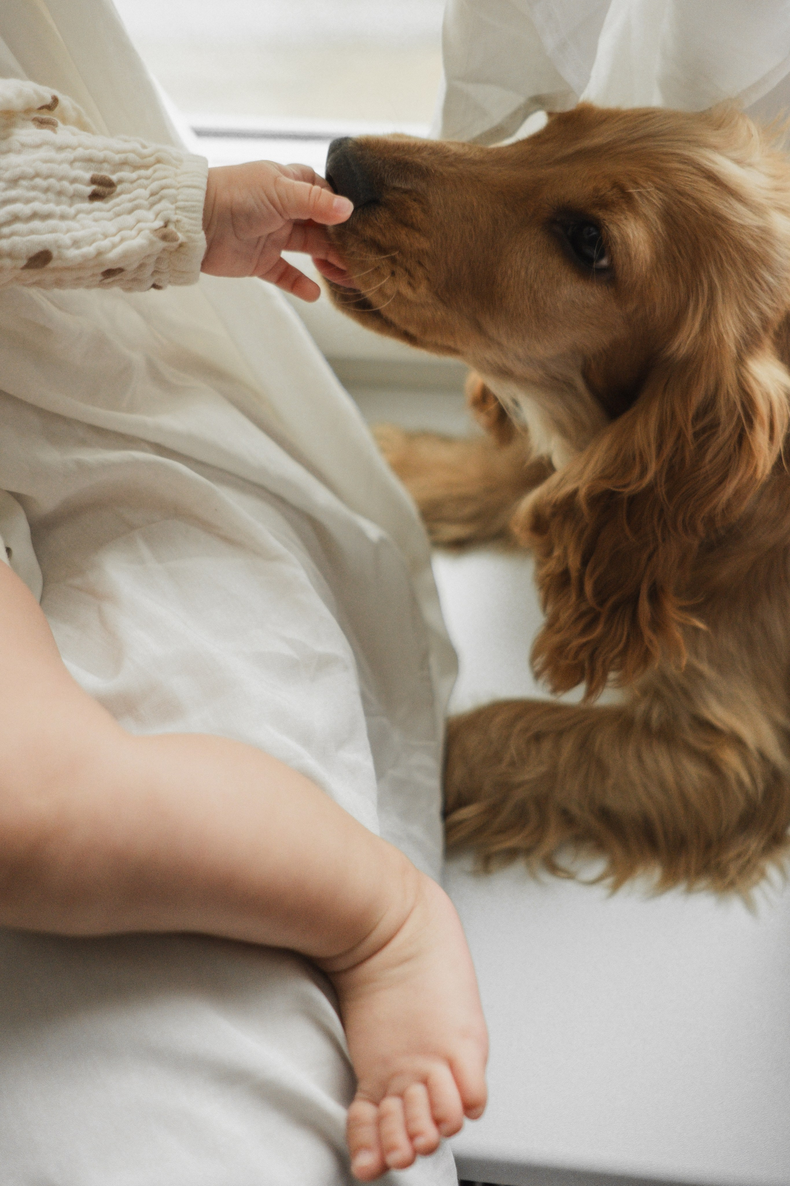 Домашняя съемка для девчонок. Фотограф в Москве (готова приехать к вам в город)