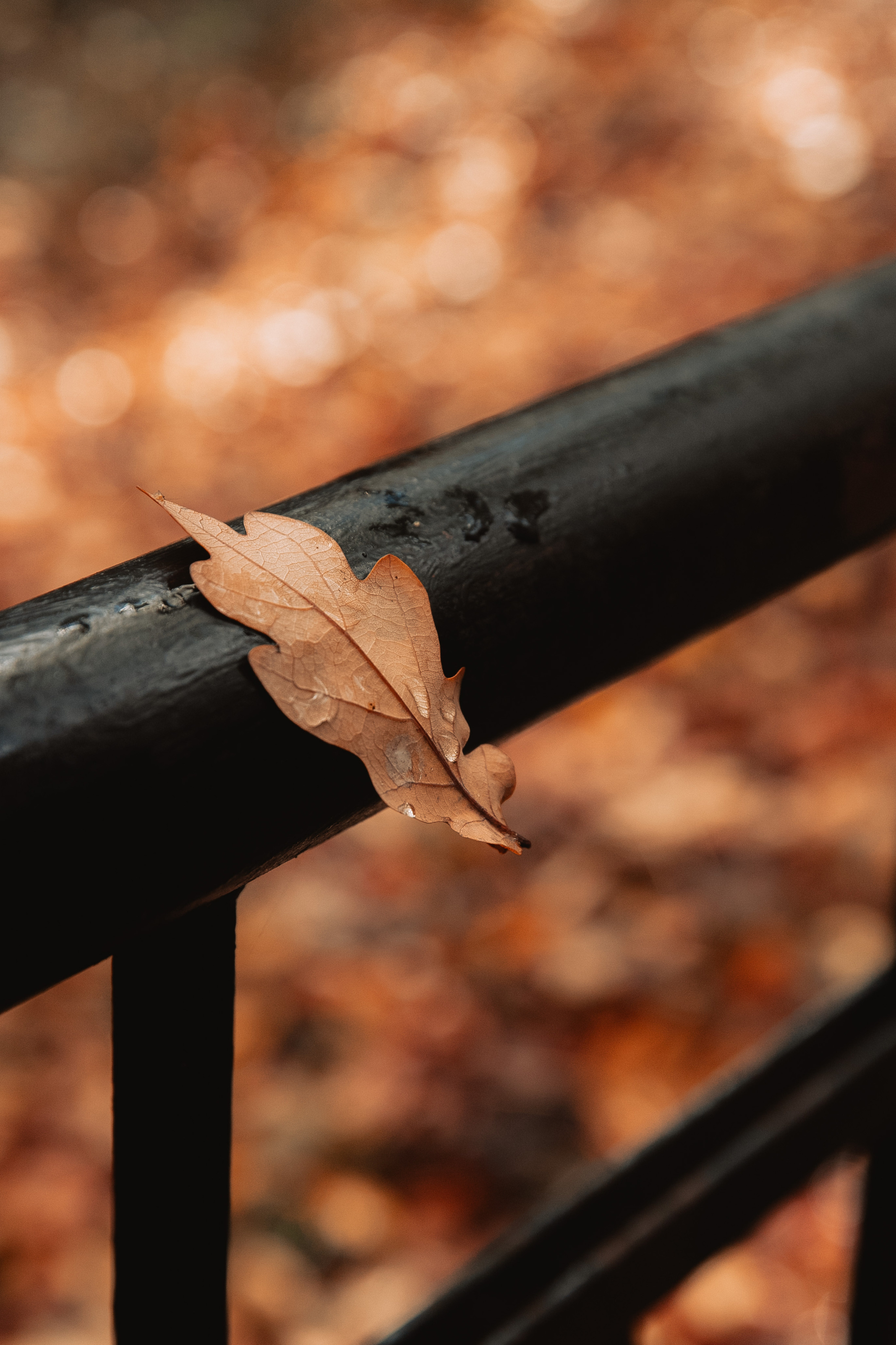 Даша. Фотограф и ретушёр Мария Гущина