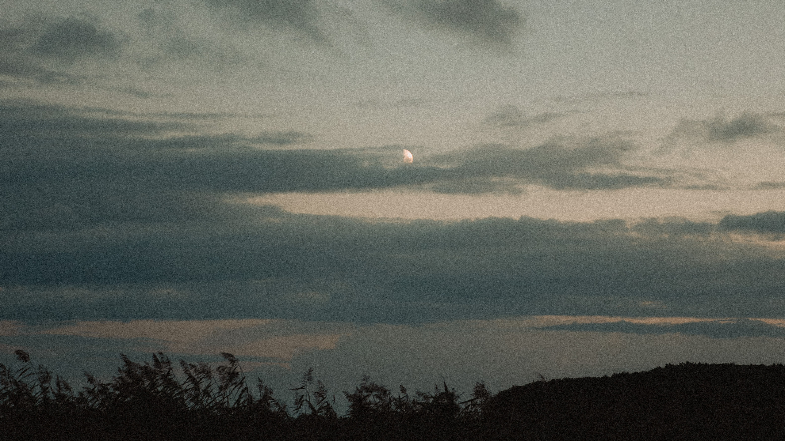 Золотой песок. Фотограф и ретушёр Мария Гущина