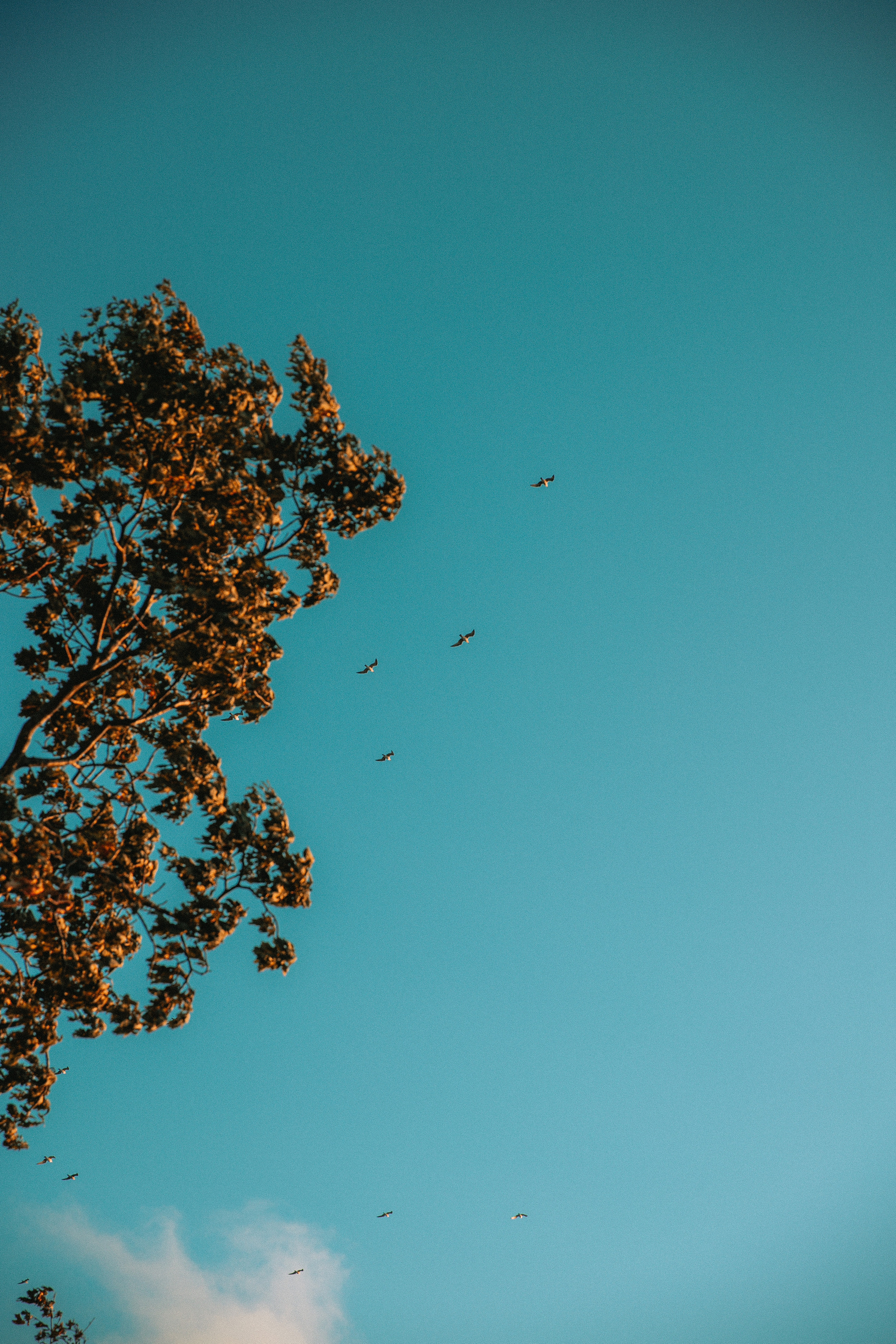 Золотой песок. Фотограф и ретушёр Мария Гущина
