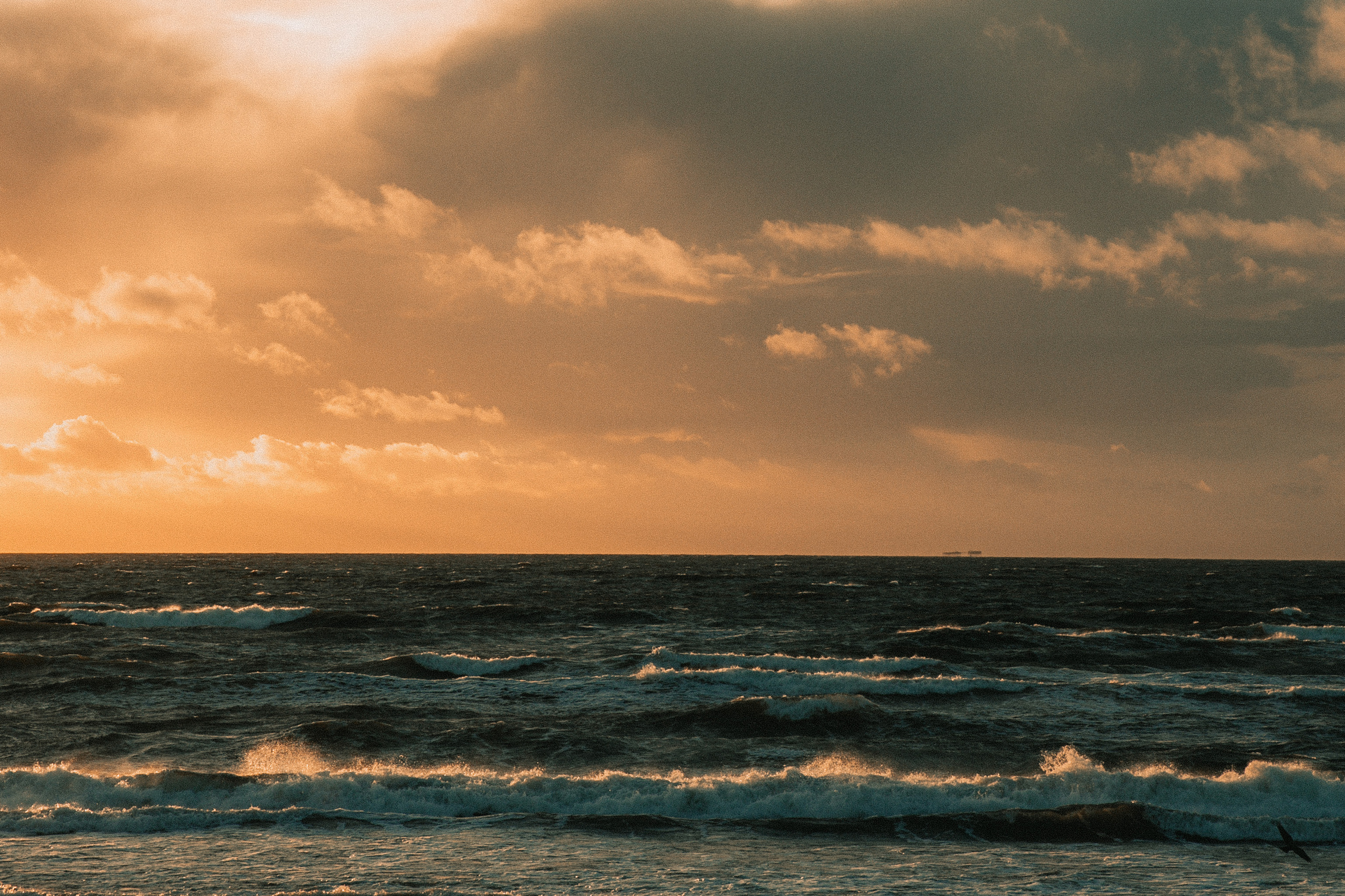 Золотой песок. Фотограф и ретушёр Мария Гущина