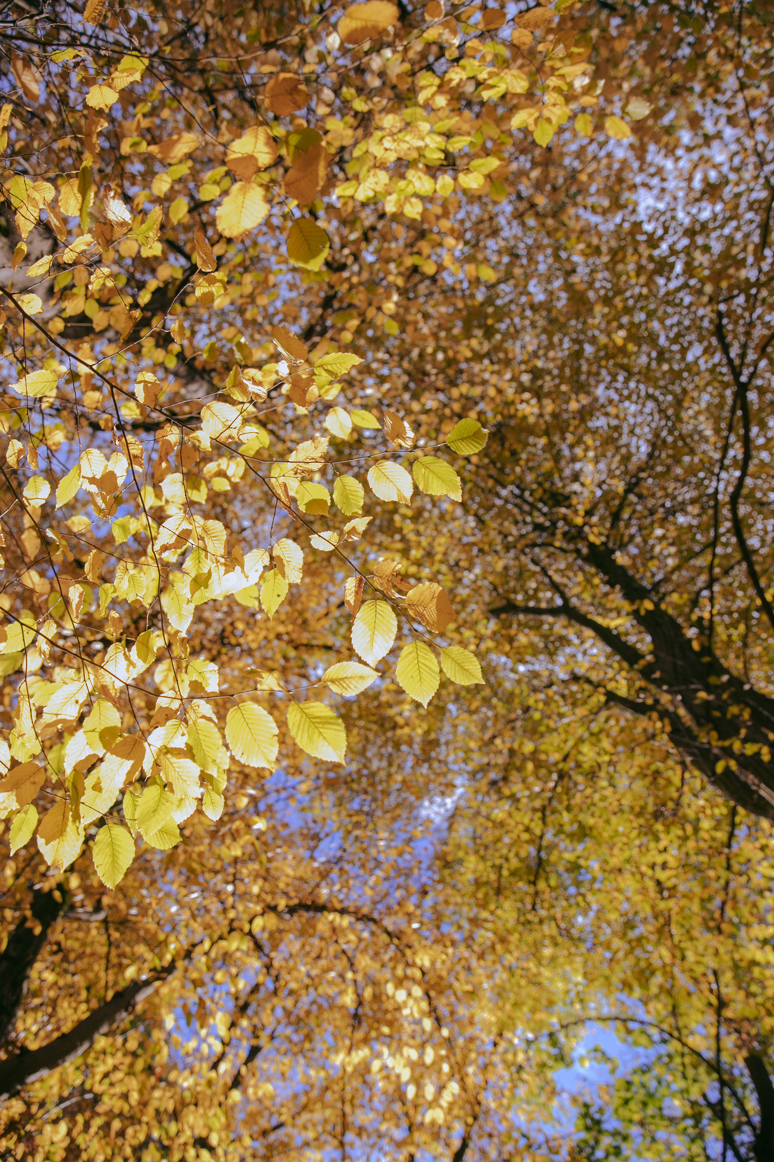 Даша. Фотограф и ретушёр Мария Гущина