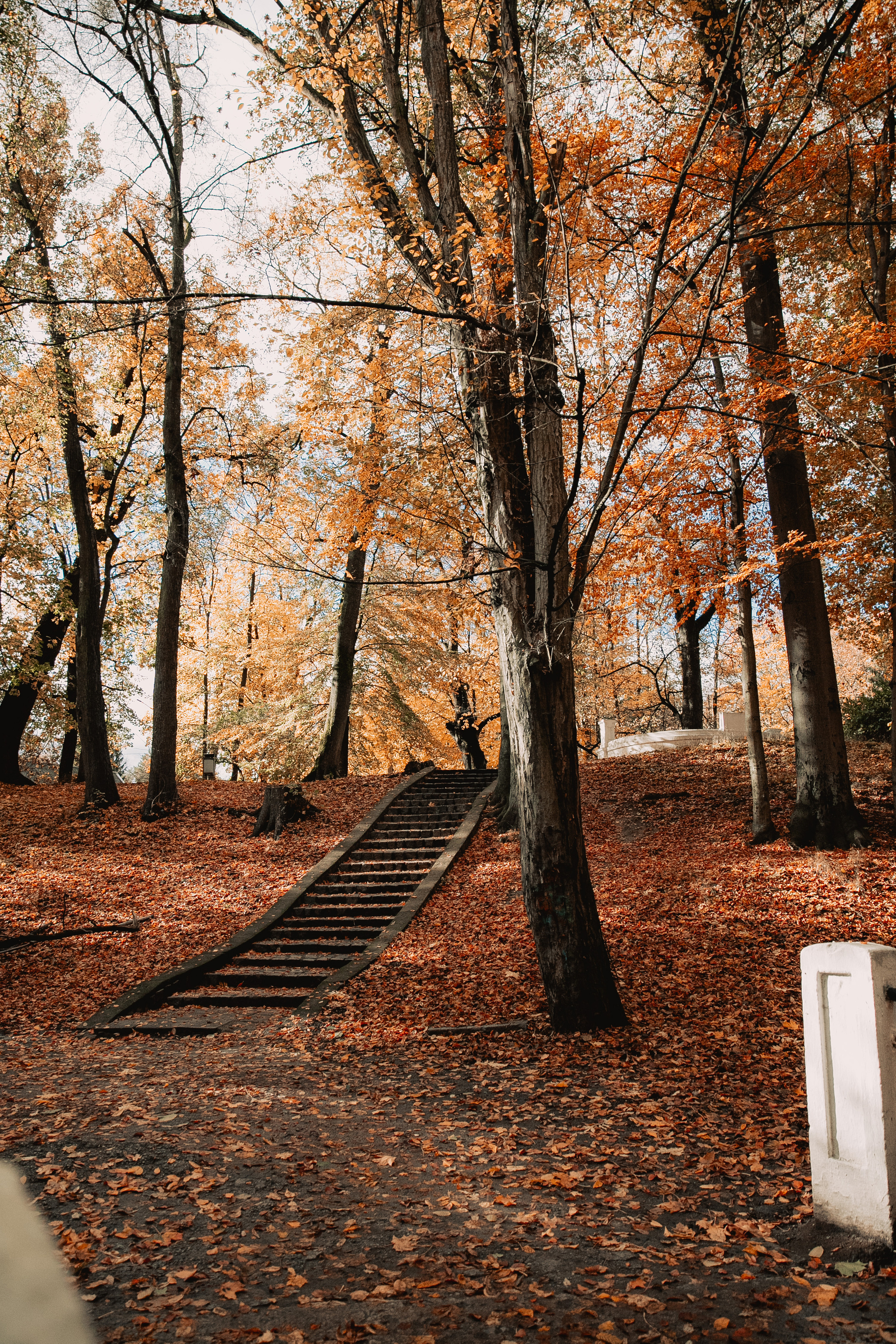 Даша. Фотограф и ретушёр Мария Гущина