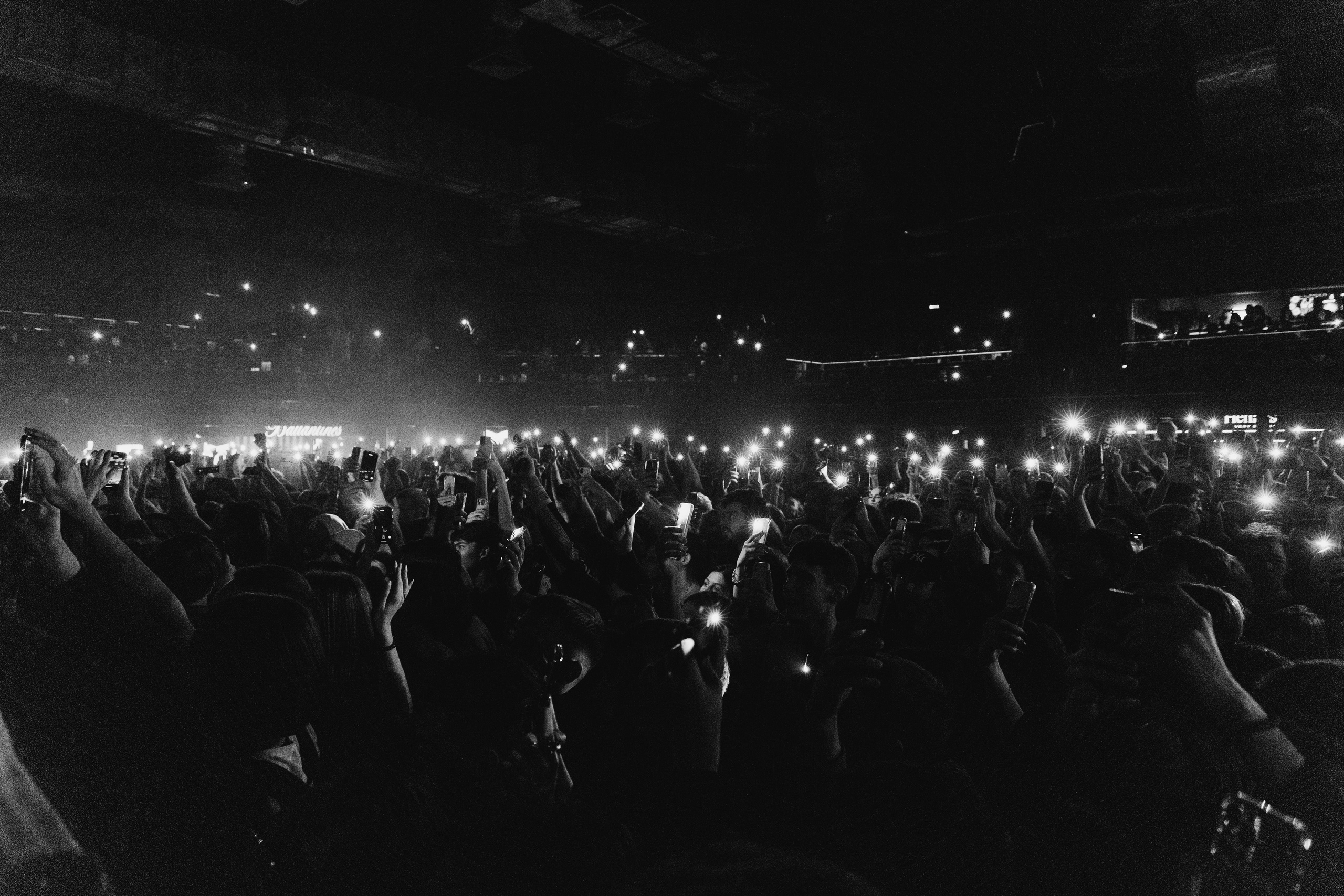 SALUKI’23. RUSLAN ROZANOV