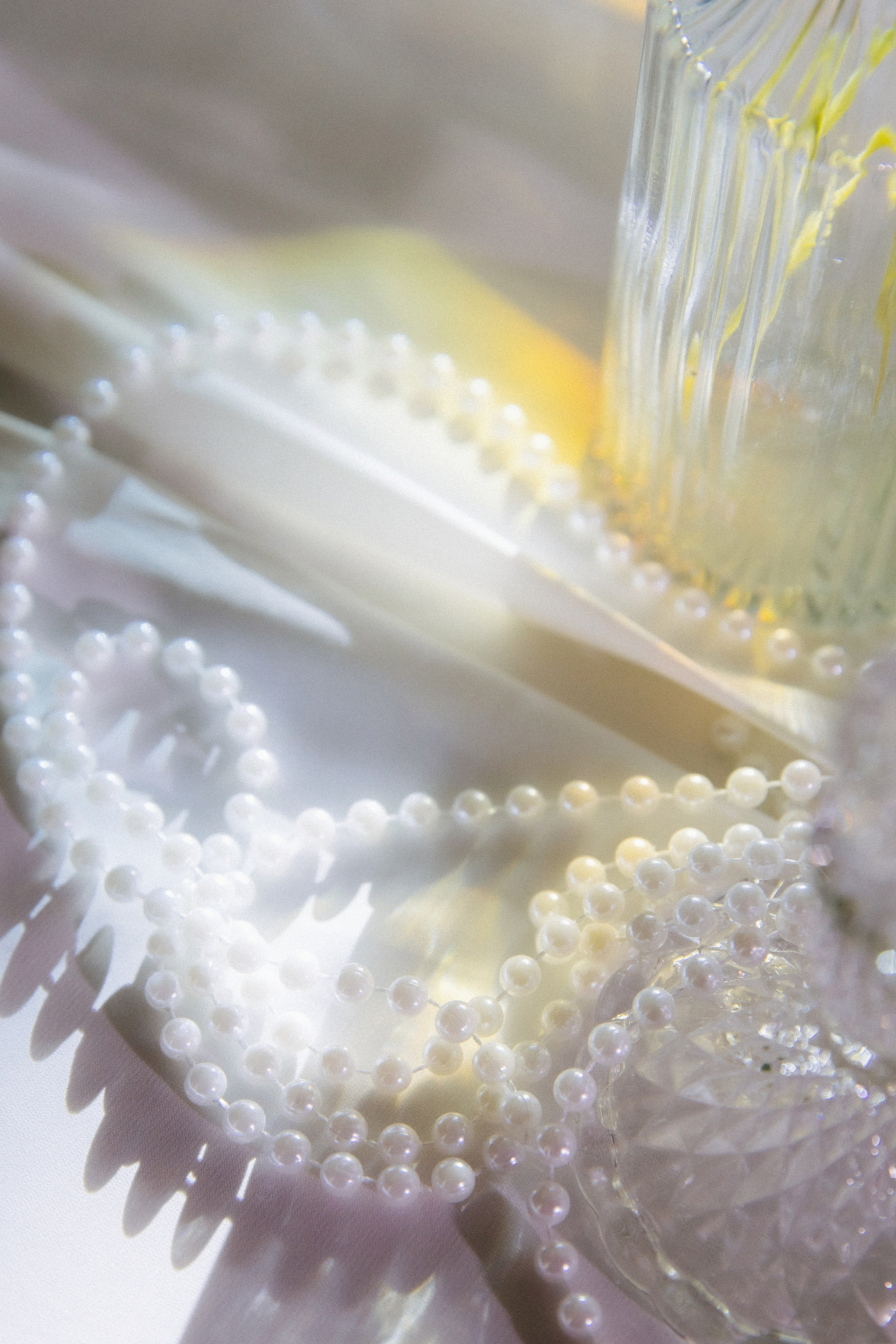 Александр и Дарья