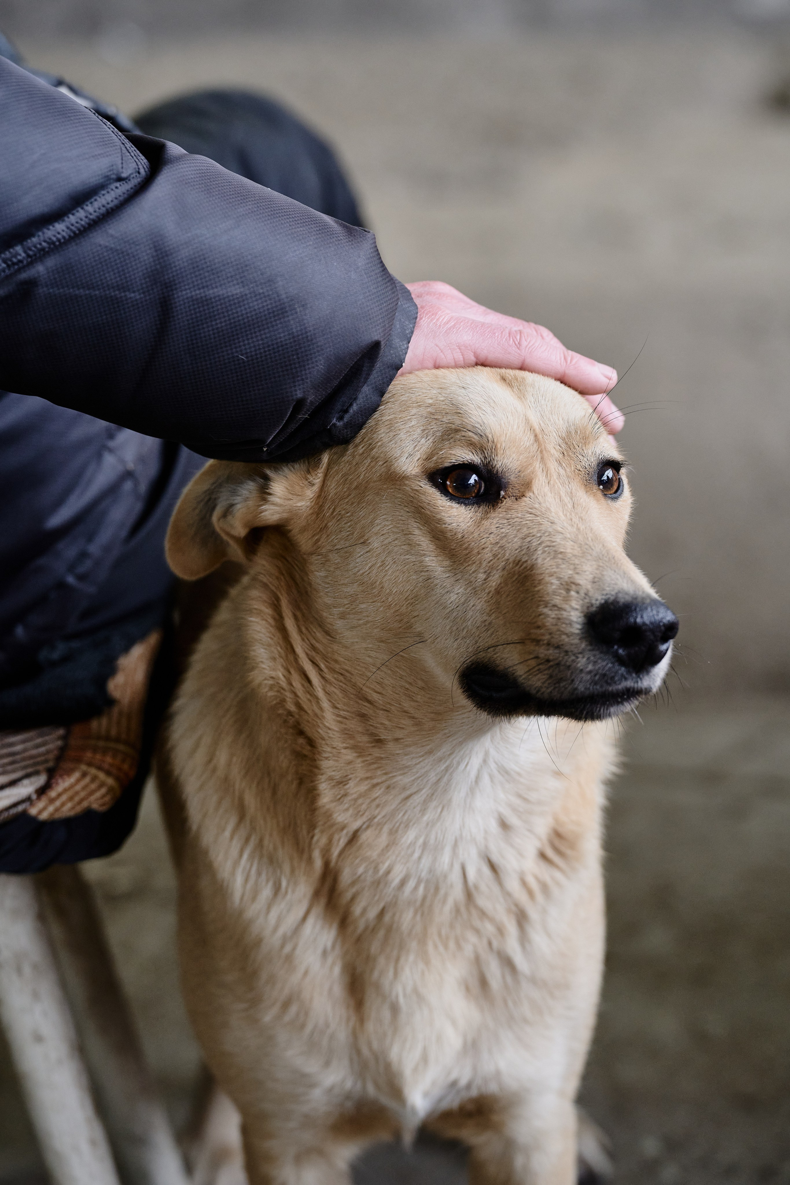Рубежное. Луганская область. Фотопроект «Территории»