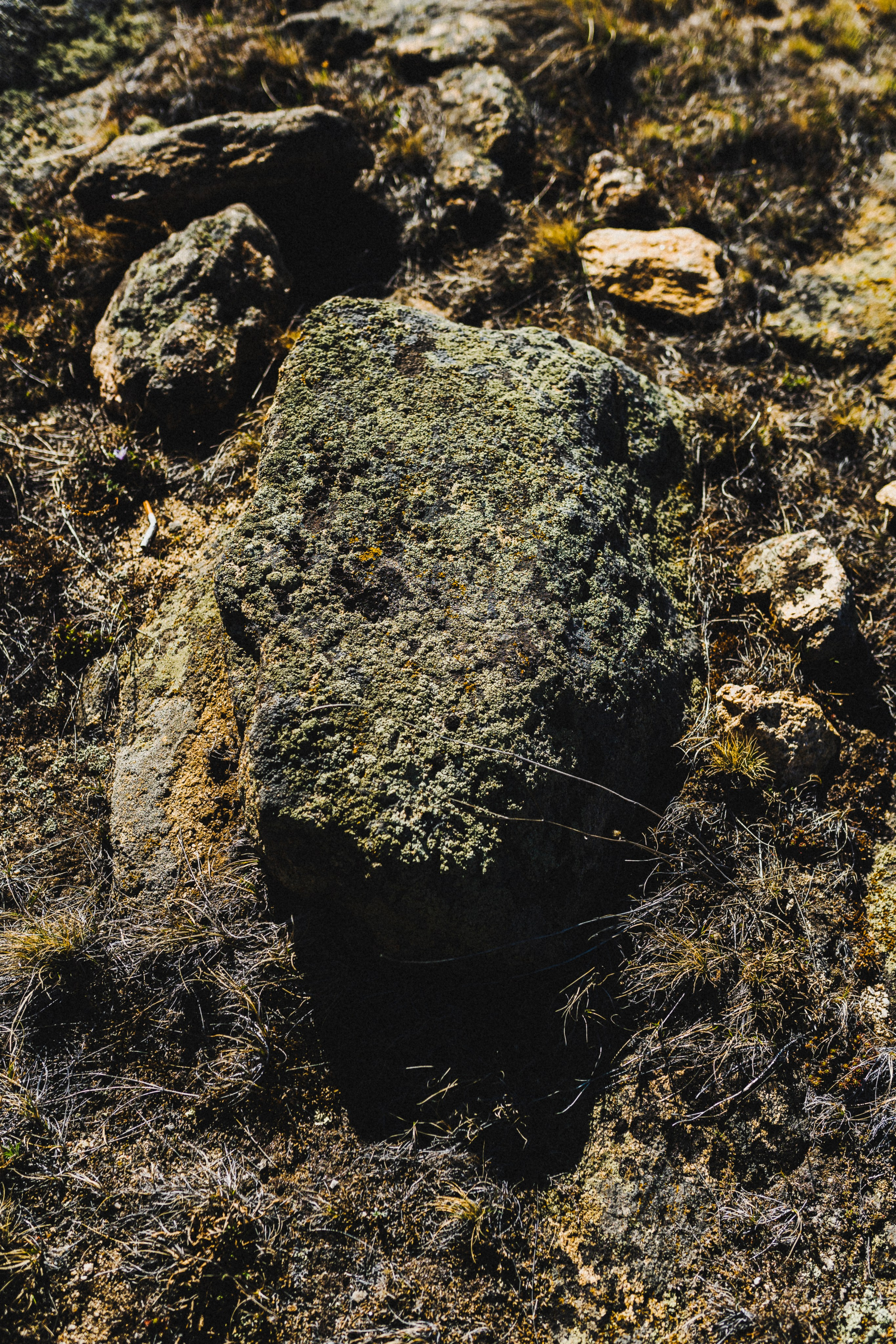 Фотографии. Фотограф Иркутск