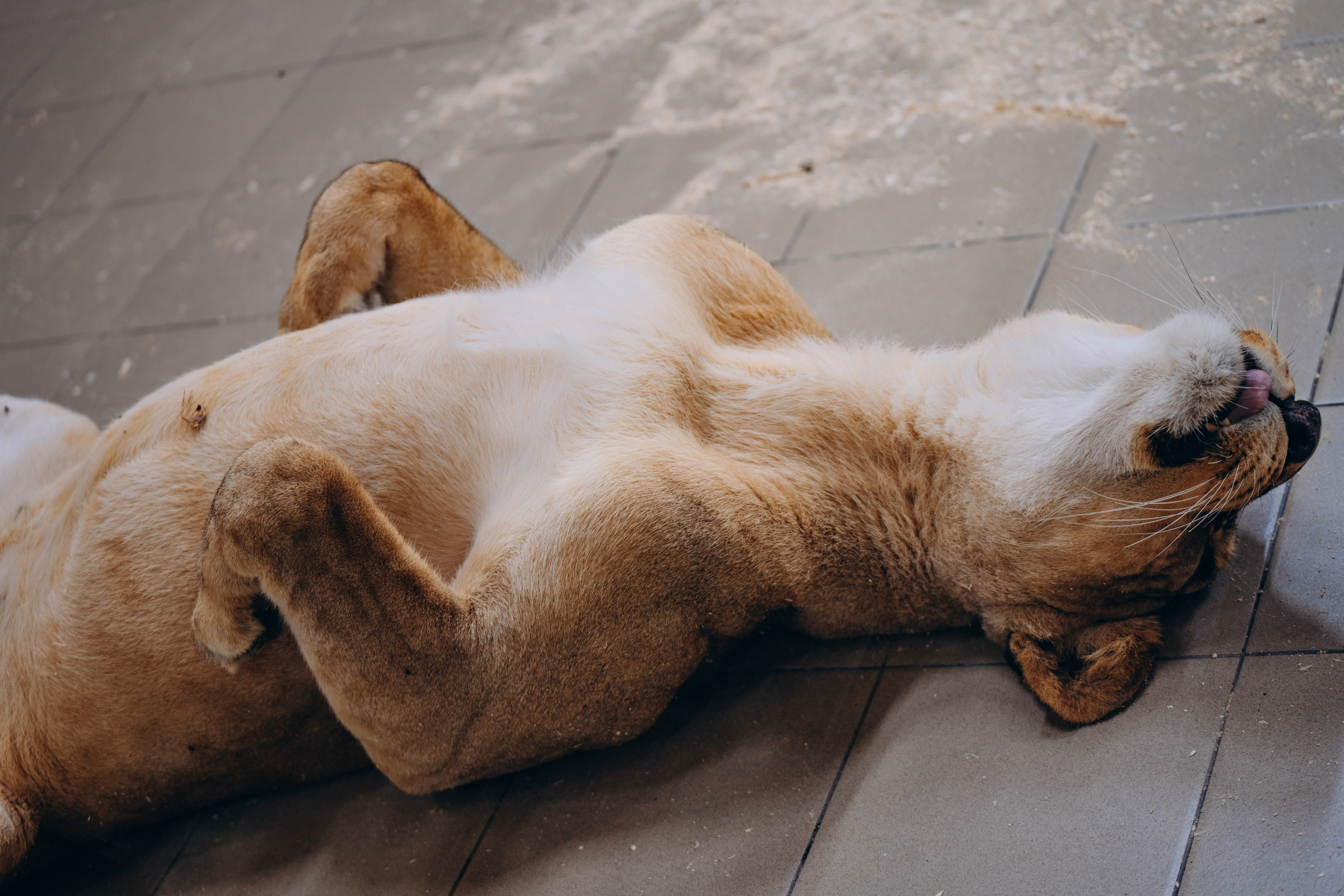 СЕВЕР. Event фотограф Степанова Александра