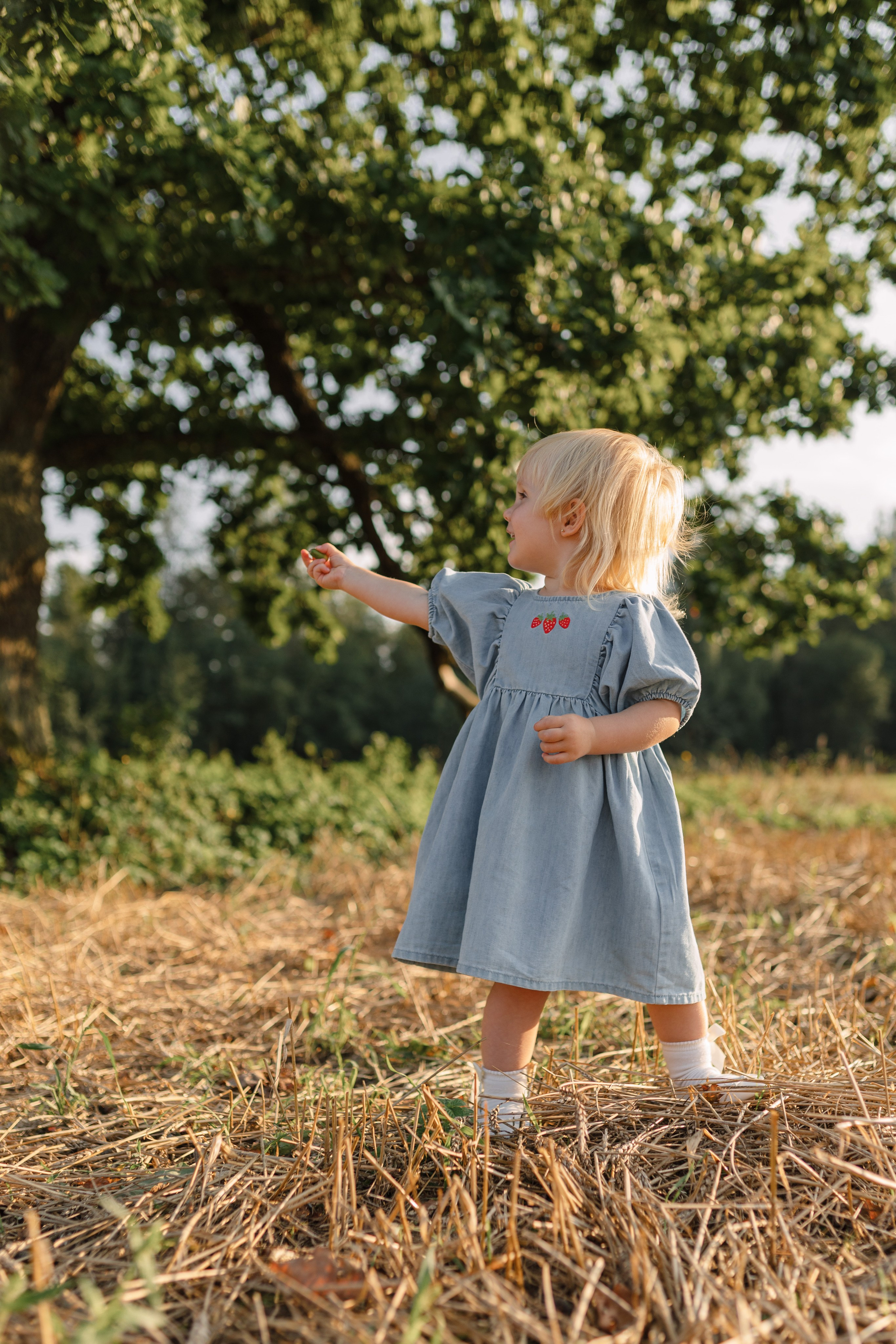 ДУБЫ. Cheta Kovalevsky фотографы