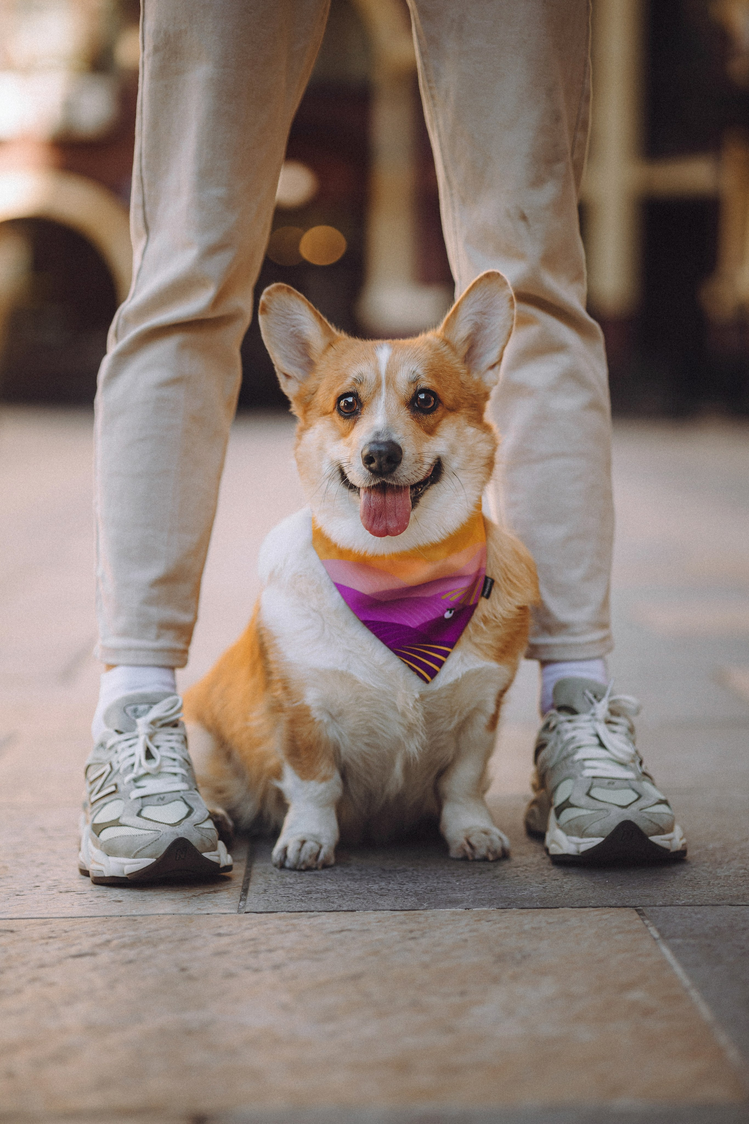 Вика и Мейзи