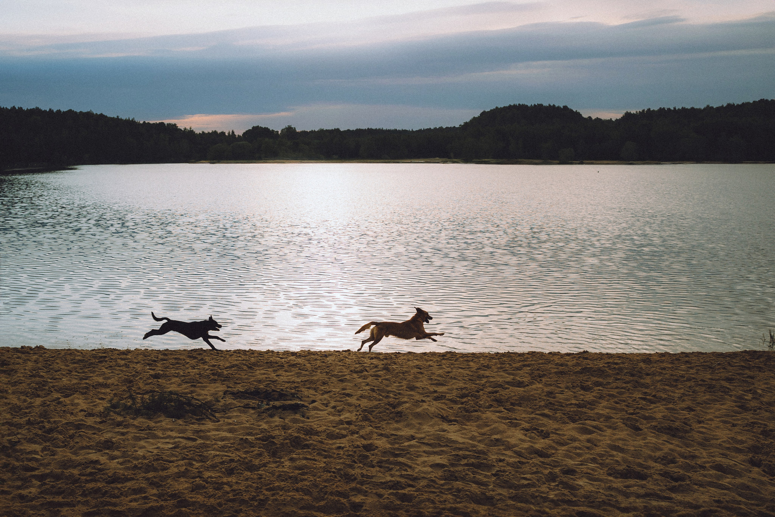 Роби, Тео и их семья