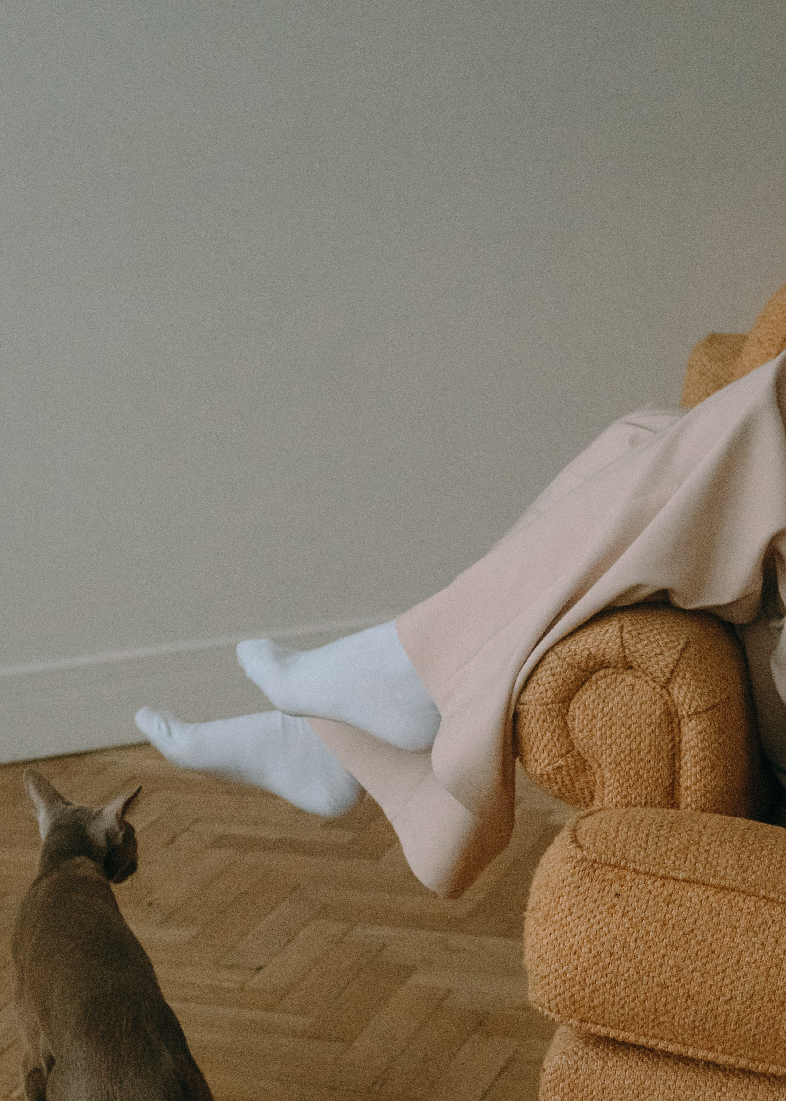 Амина, Булат и Орион. Фотограф-анималист Ксения Воробьева, Москва