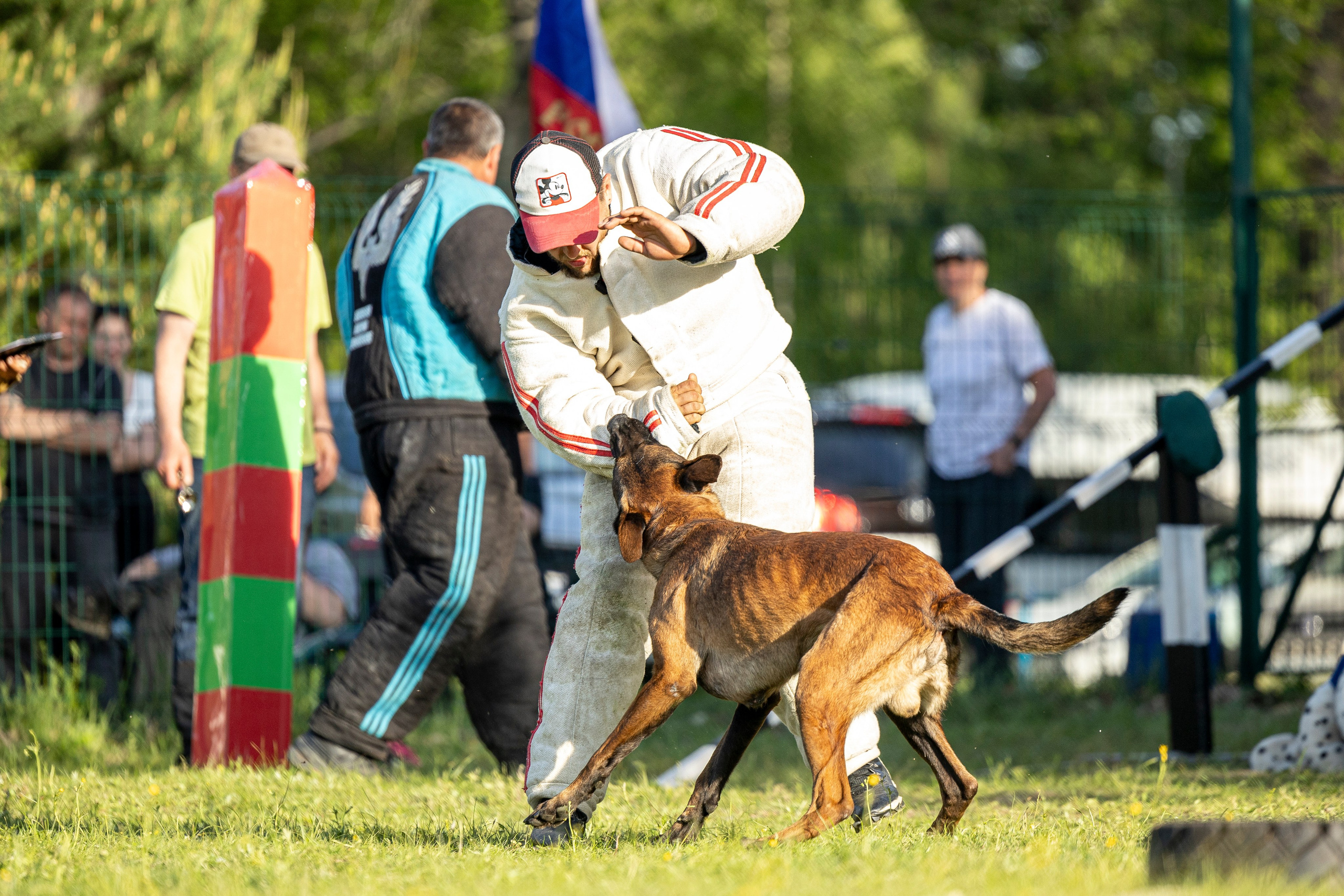 Испытания по мондьорингу в Нижнем Новгороде. Фотограф-анималист Анна Маринич
