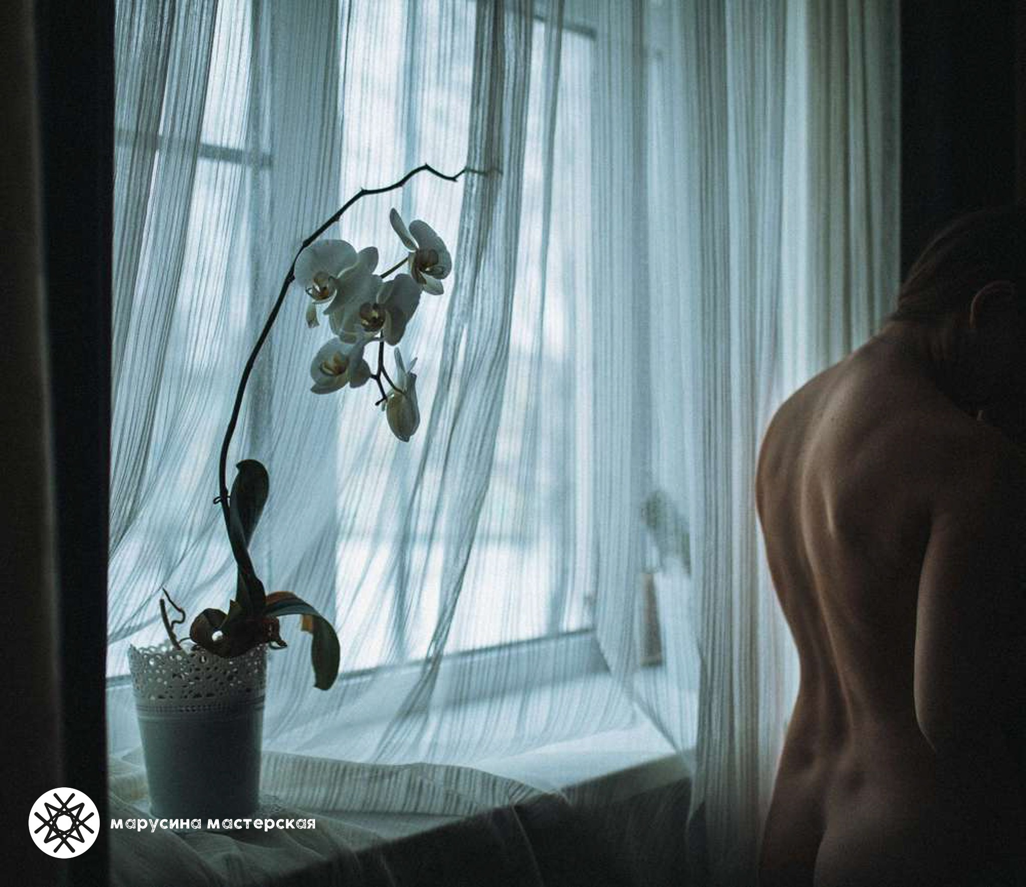 Творческая фотография, снятая в рамках зимней творческой практики, автор — Анна Захарова