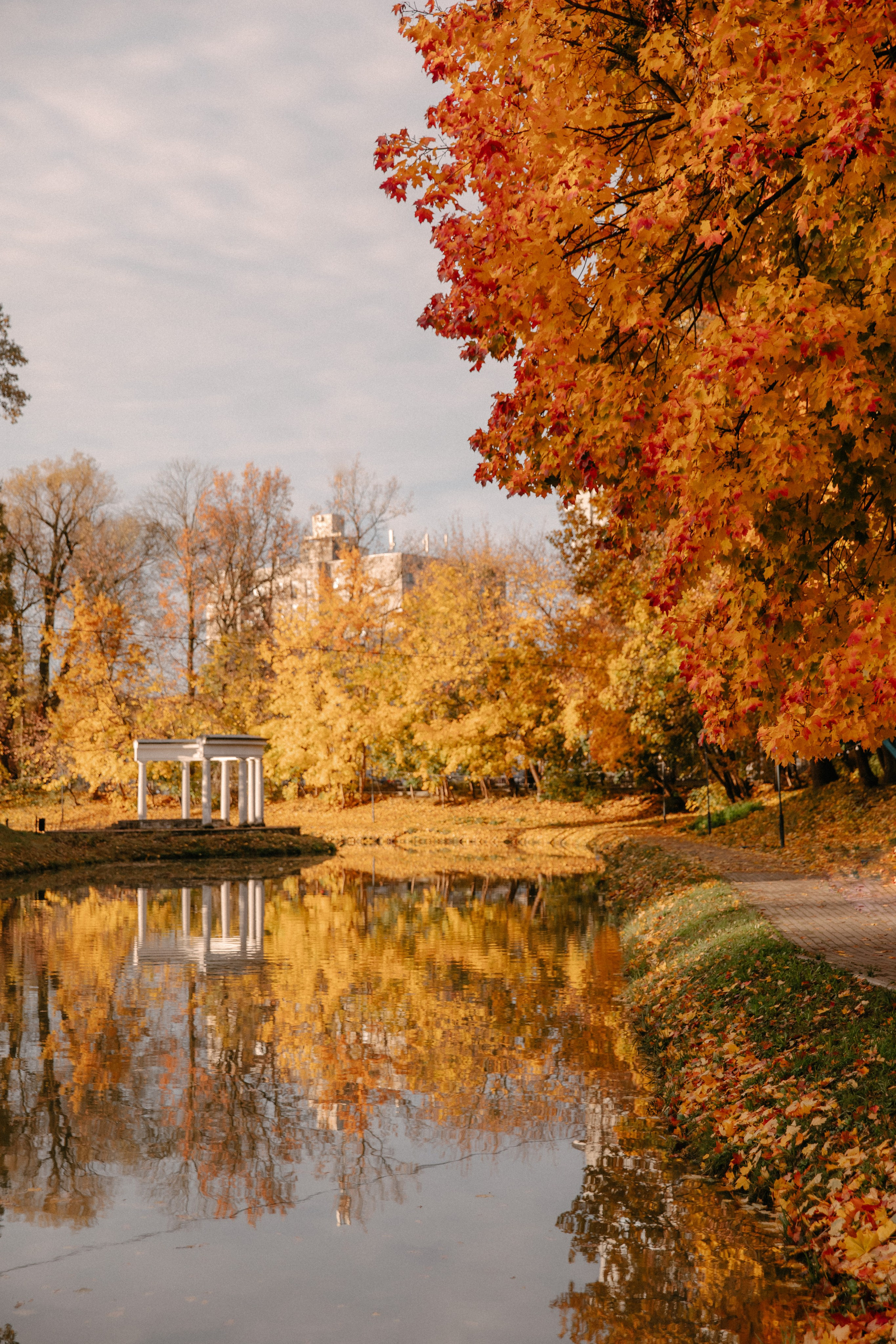 Яркая осень. Фотограф Амалия Ахмедова, Калининград