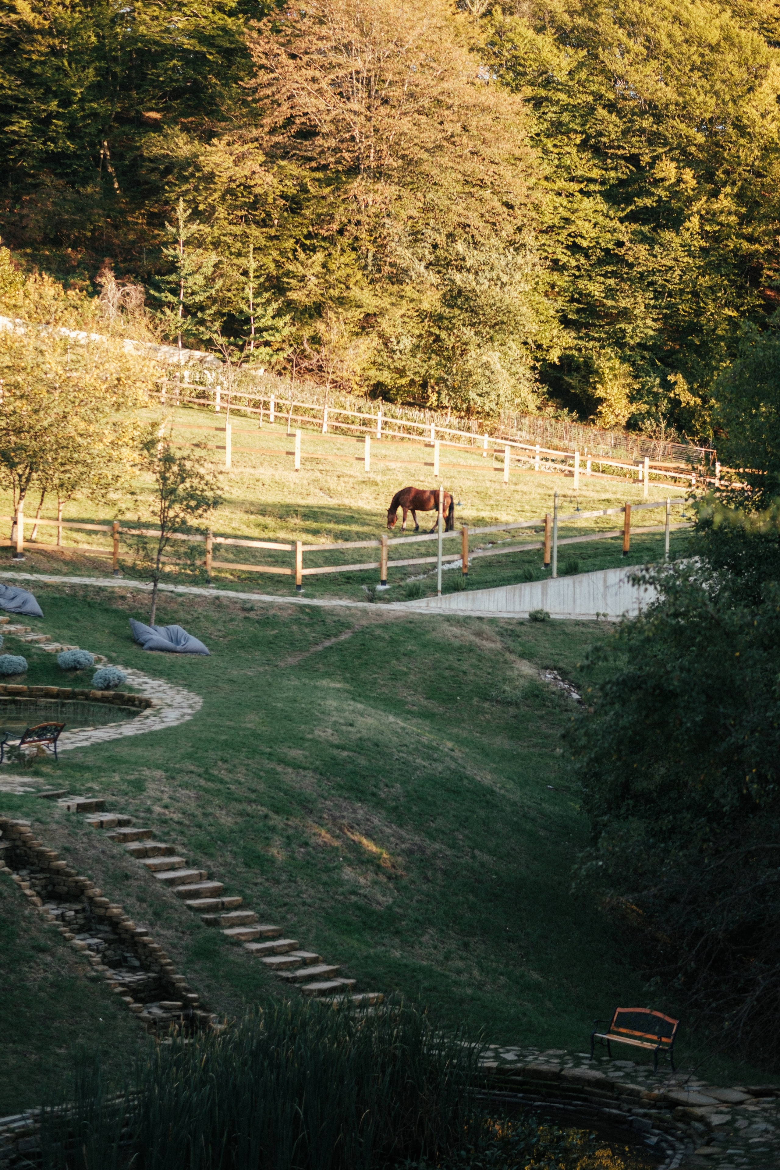 Экзархо. Свадебный Видеограф Фотограф в Сочи