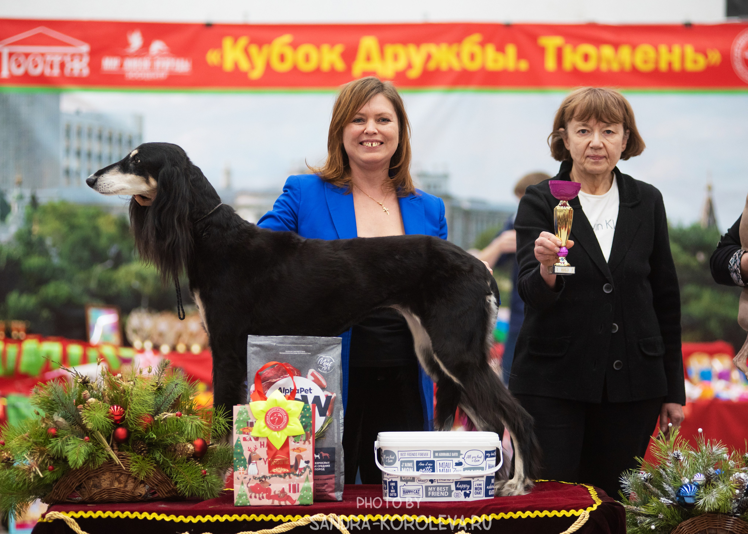 Выставка собак тюмень 10.12.2022. Дог-фотограф в Тюмени Александра Королева